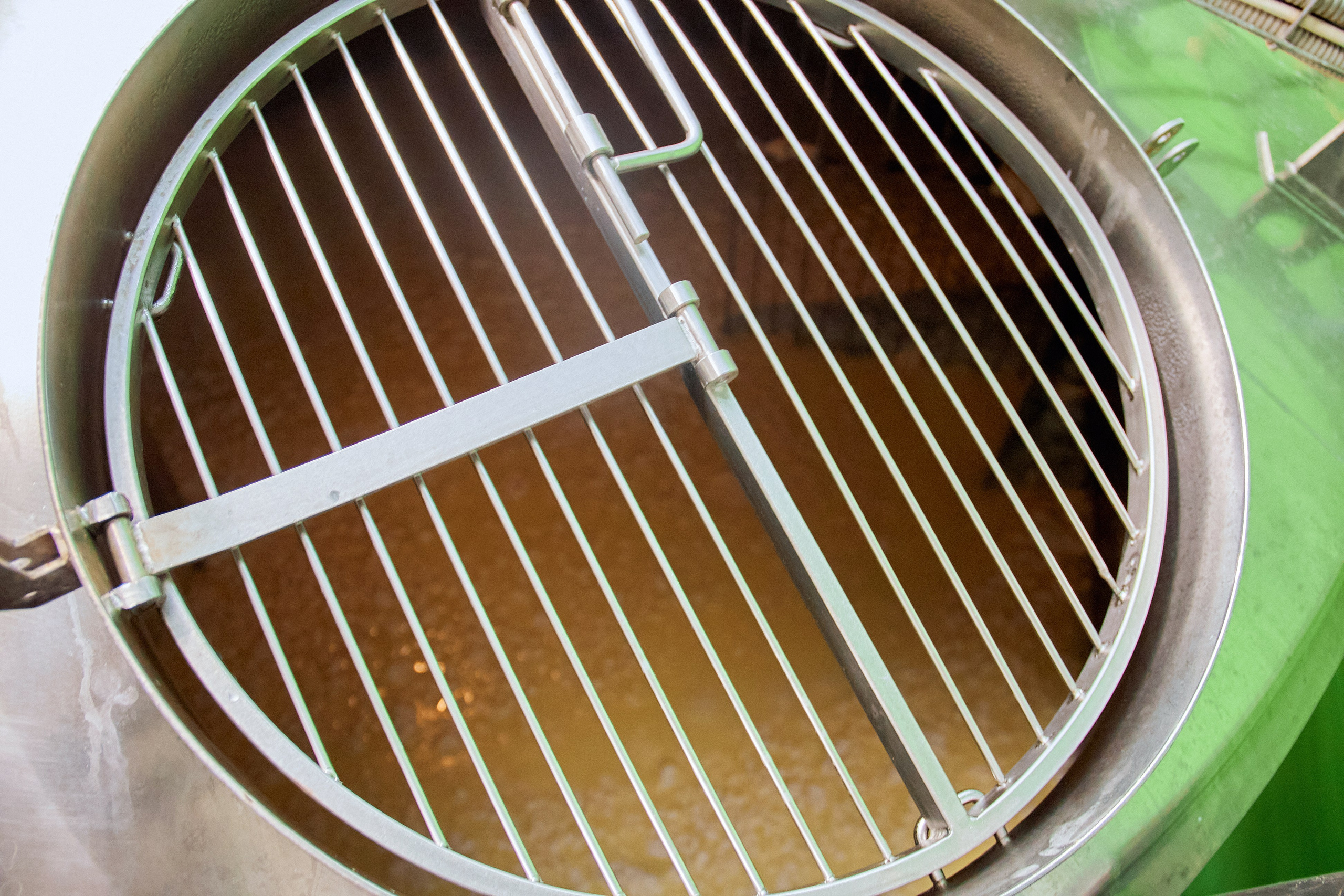 Экскурсия «Агроферма-Катынь». Фотограф в Смоленске Ася Польшина