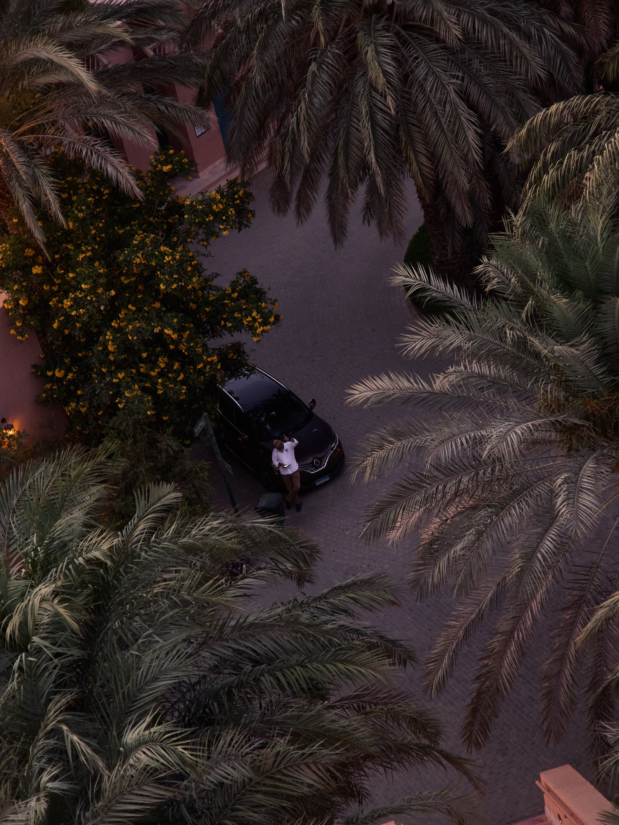 Диптих. Jorgis — фотограф в Хургаде / обучение фотографии