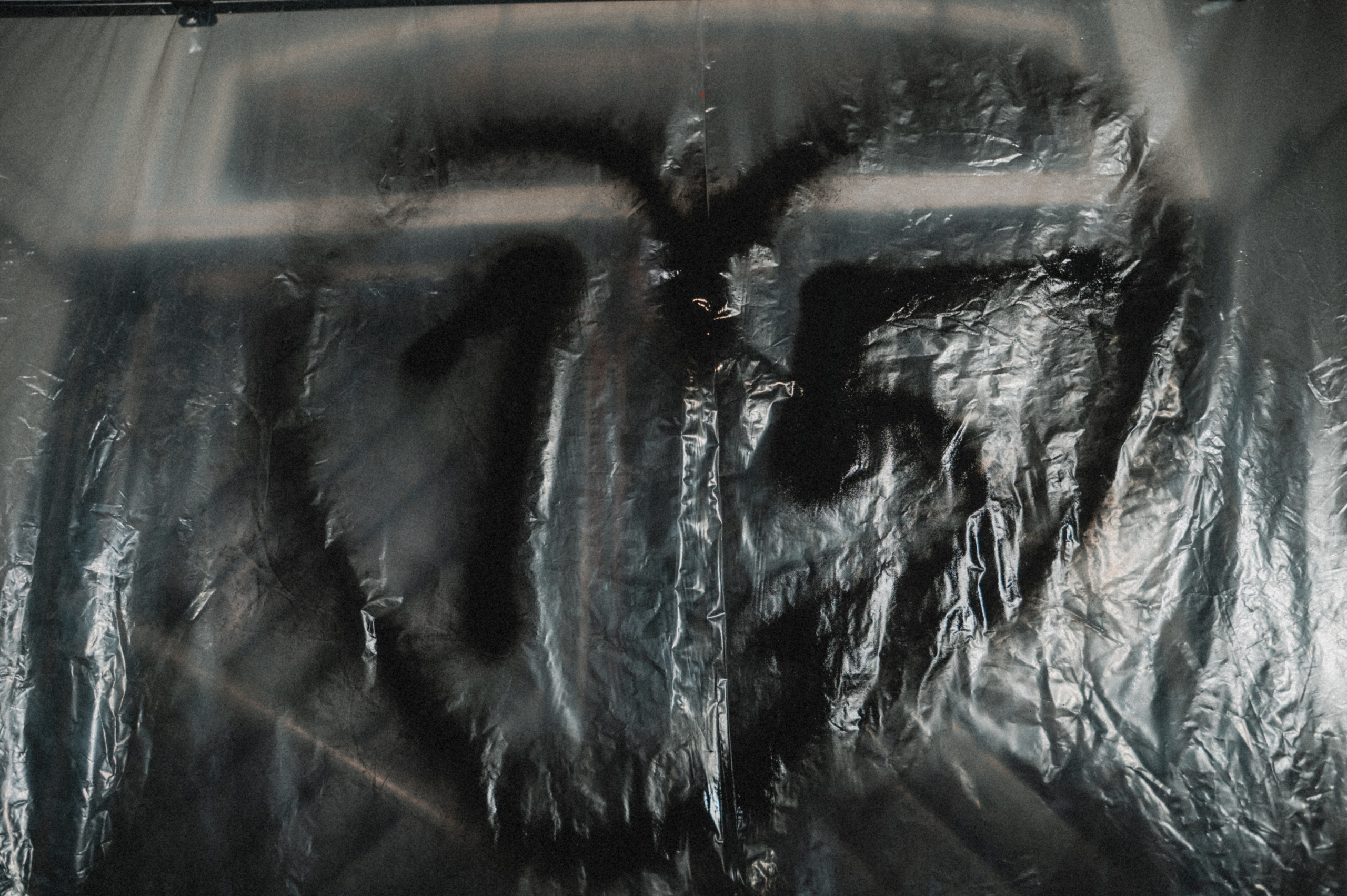 Альбом19. Свадебный фотограф в Рязани Дзюрак Елизавета