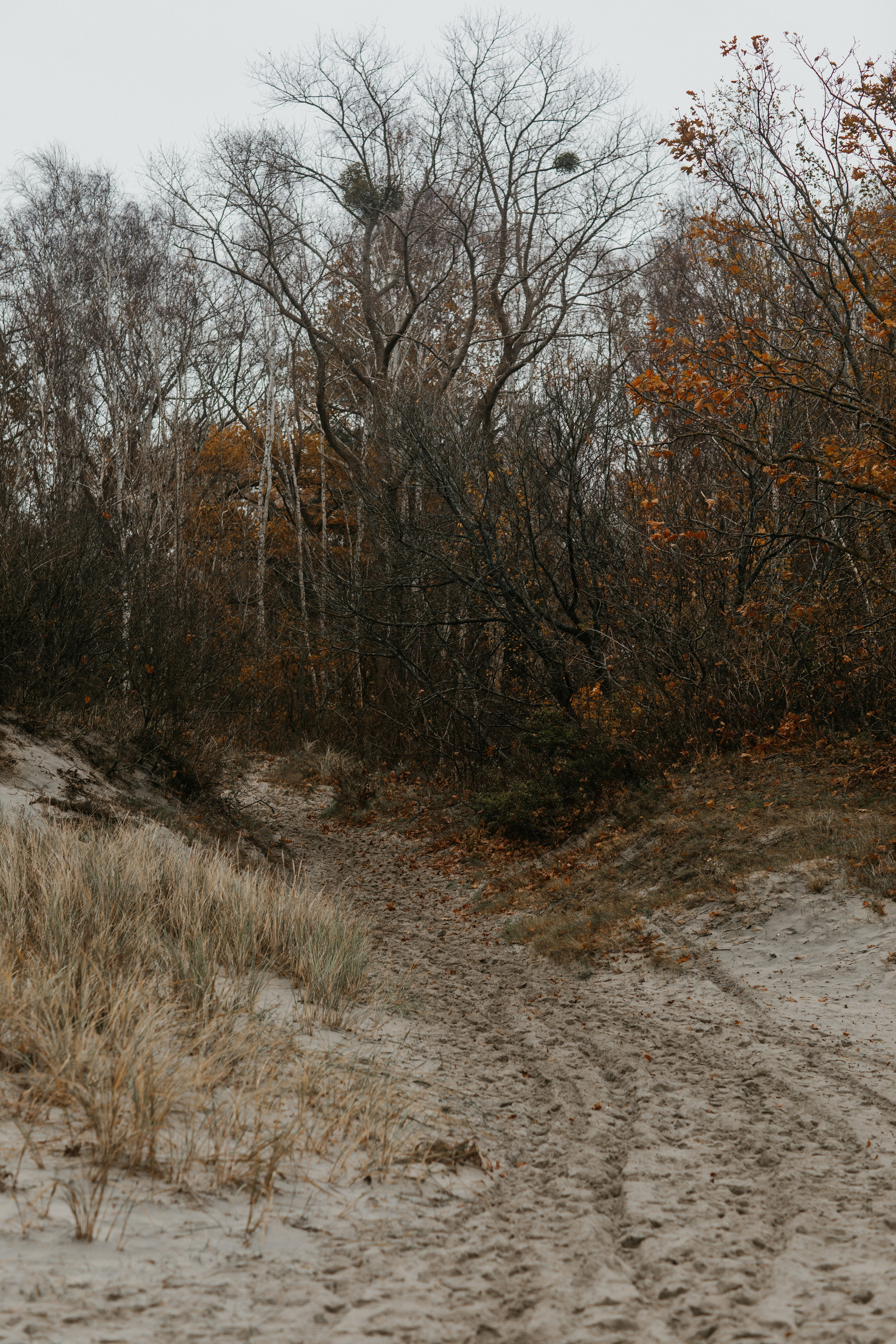 Фотосессия в Балтийске. Https://malovafoto.ru