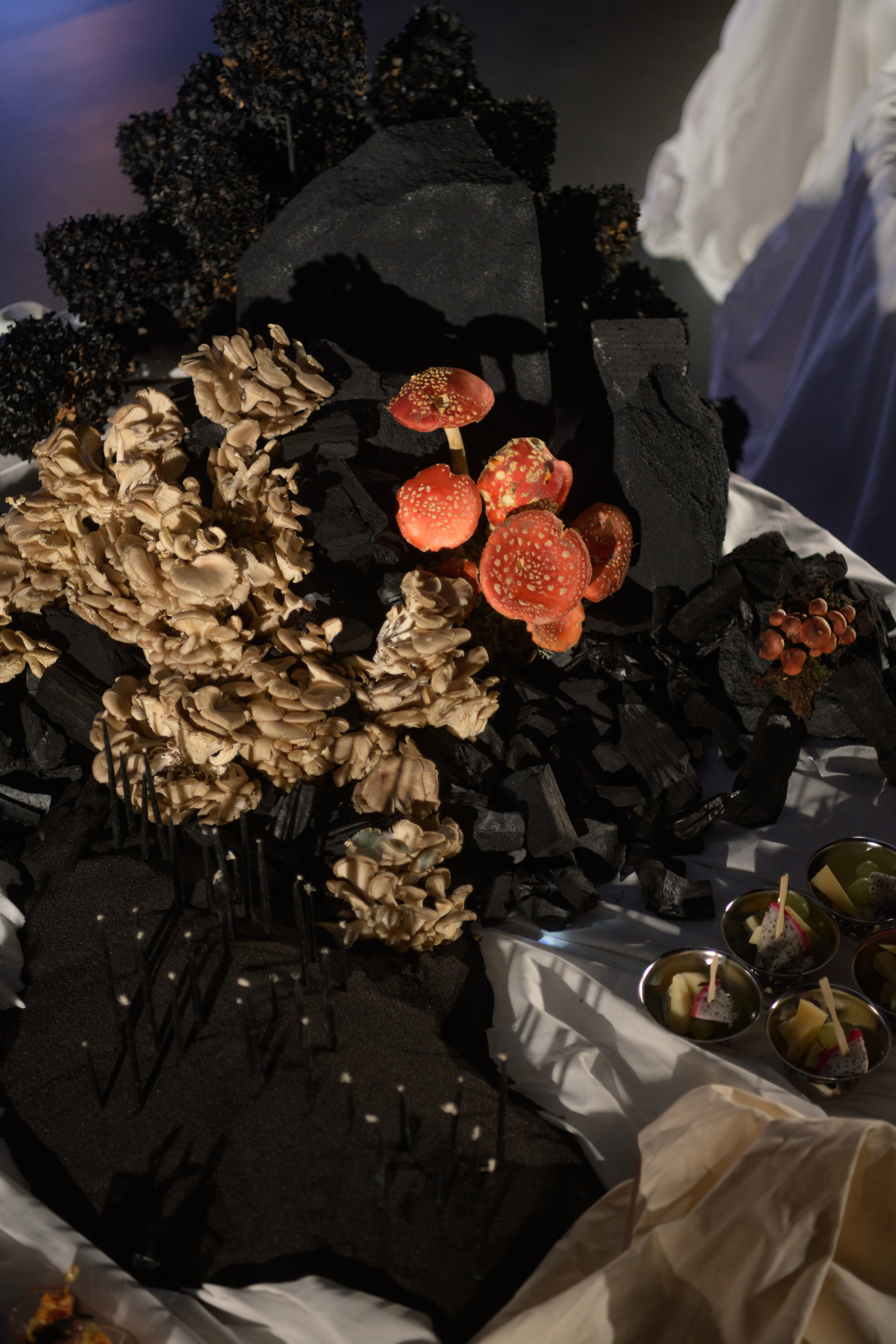 Decor by Favorite catering. Свадебный фотограф в Минске