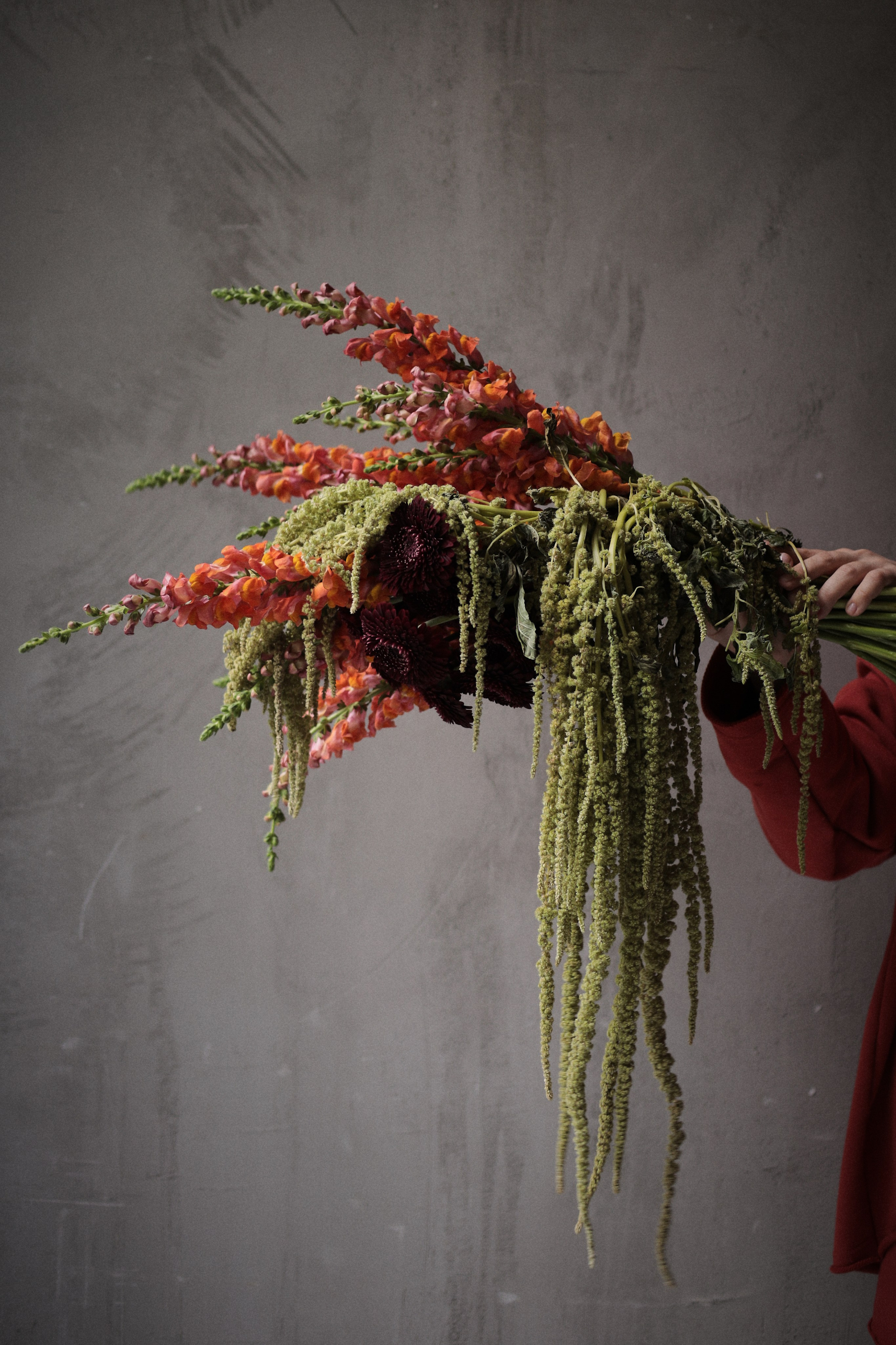 Flowers. Виктория Калугина — фотограф и видеомейкер в Москве
