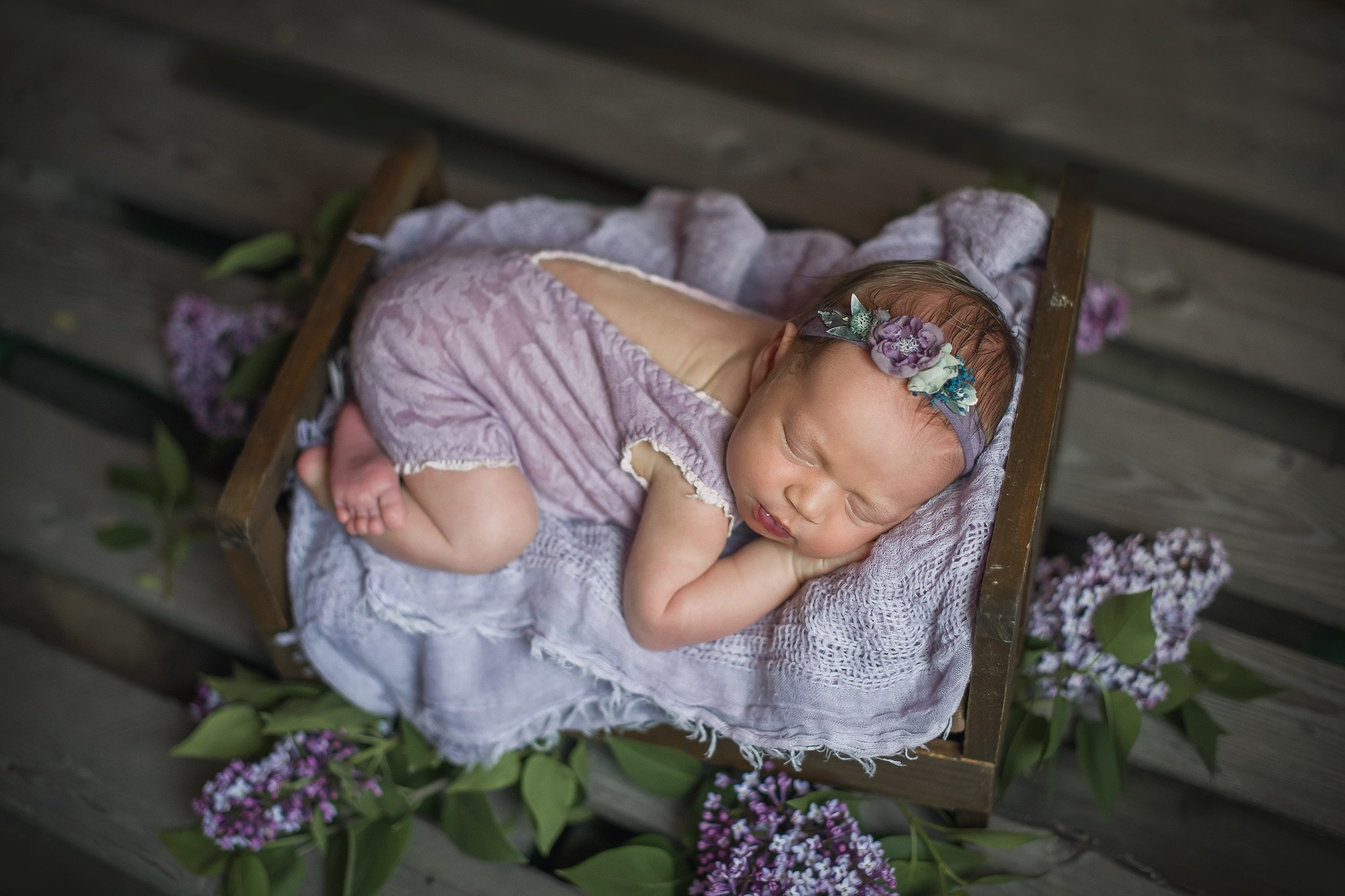 Новорожденные малыши владивосток. Детский и семейный фотограф Елена Новоселова в г. Владивосток