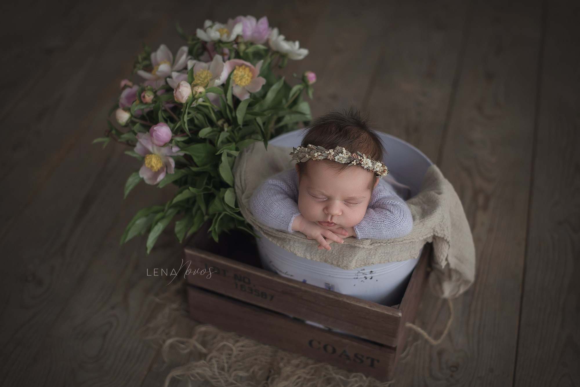 Новорожденные малыши владивосток. Детский и семейный фотограф Елена Новоселова в г. Владивосток