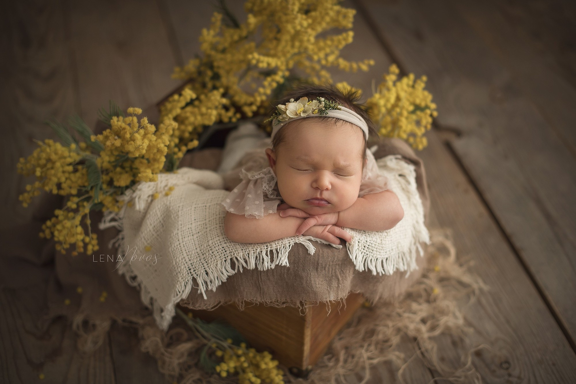 Новорожденные малыши владивосток. Детский и семейный фотограф Елена Новоселова в г. Владивосток