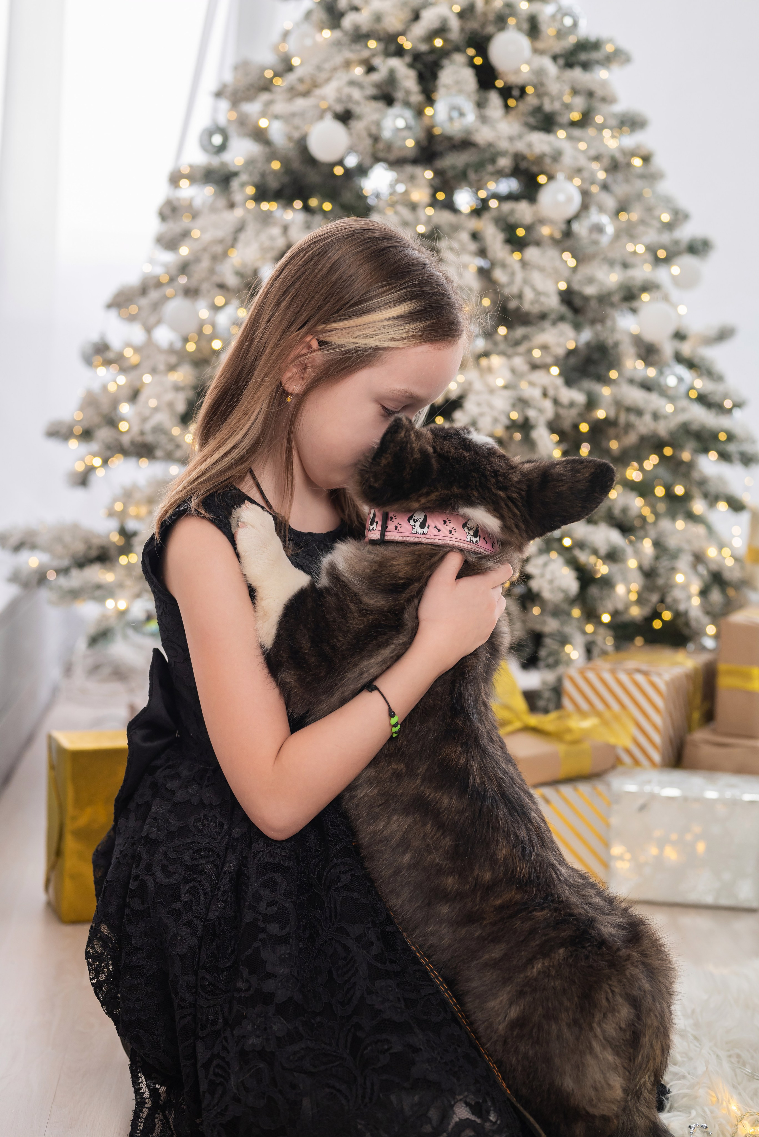 Фотопроект с корги. Фотограф в городе Салават