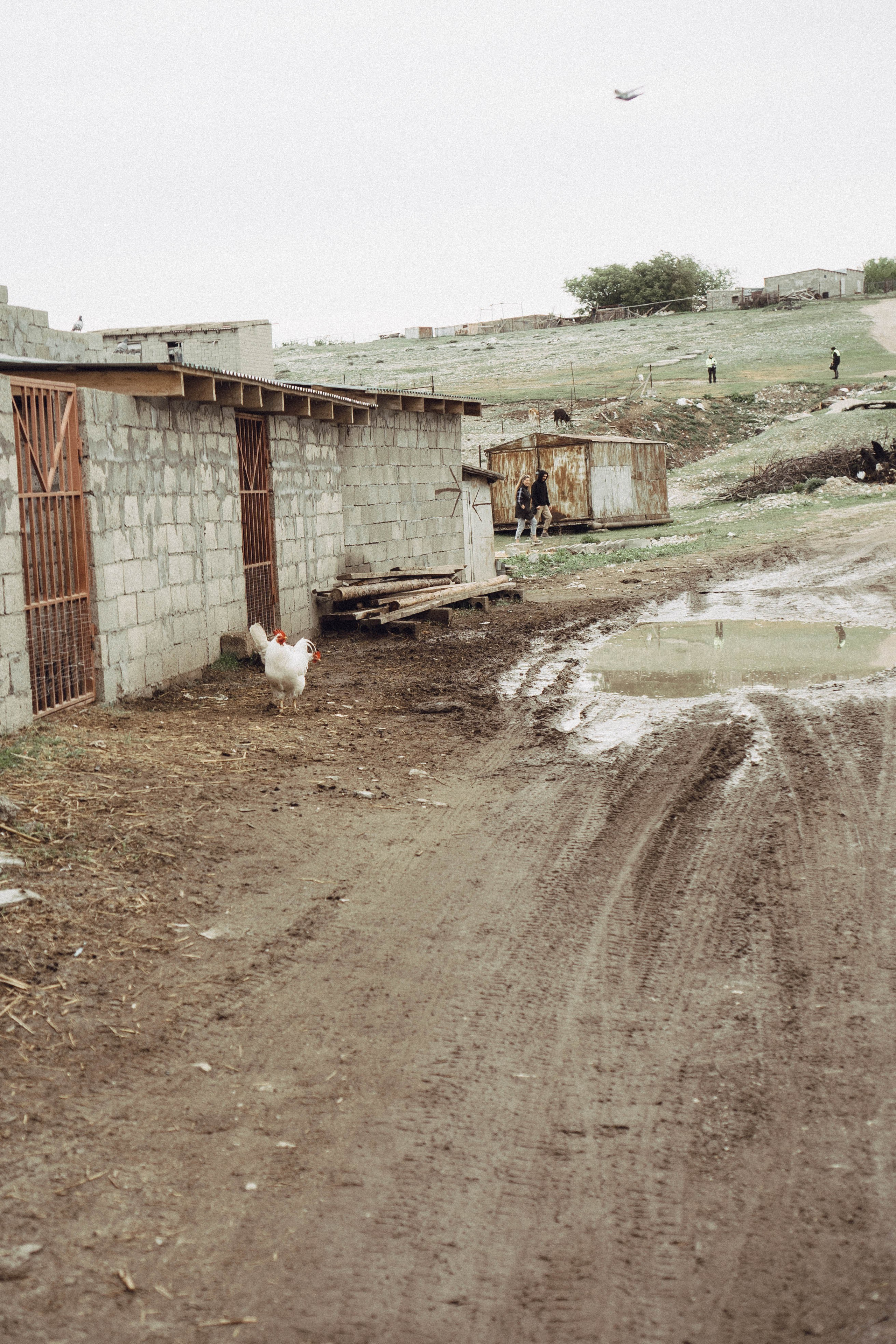 Кавказ. Профессиональный фотограф, Санкт-Петербург — Виктория Богомолова