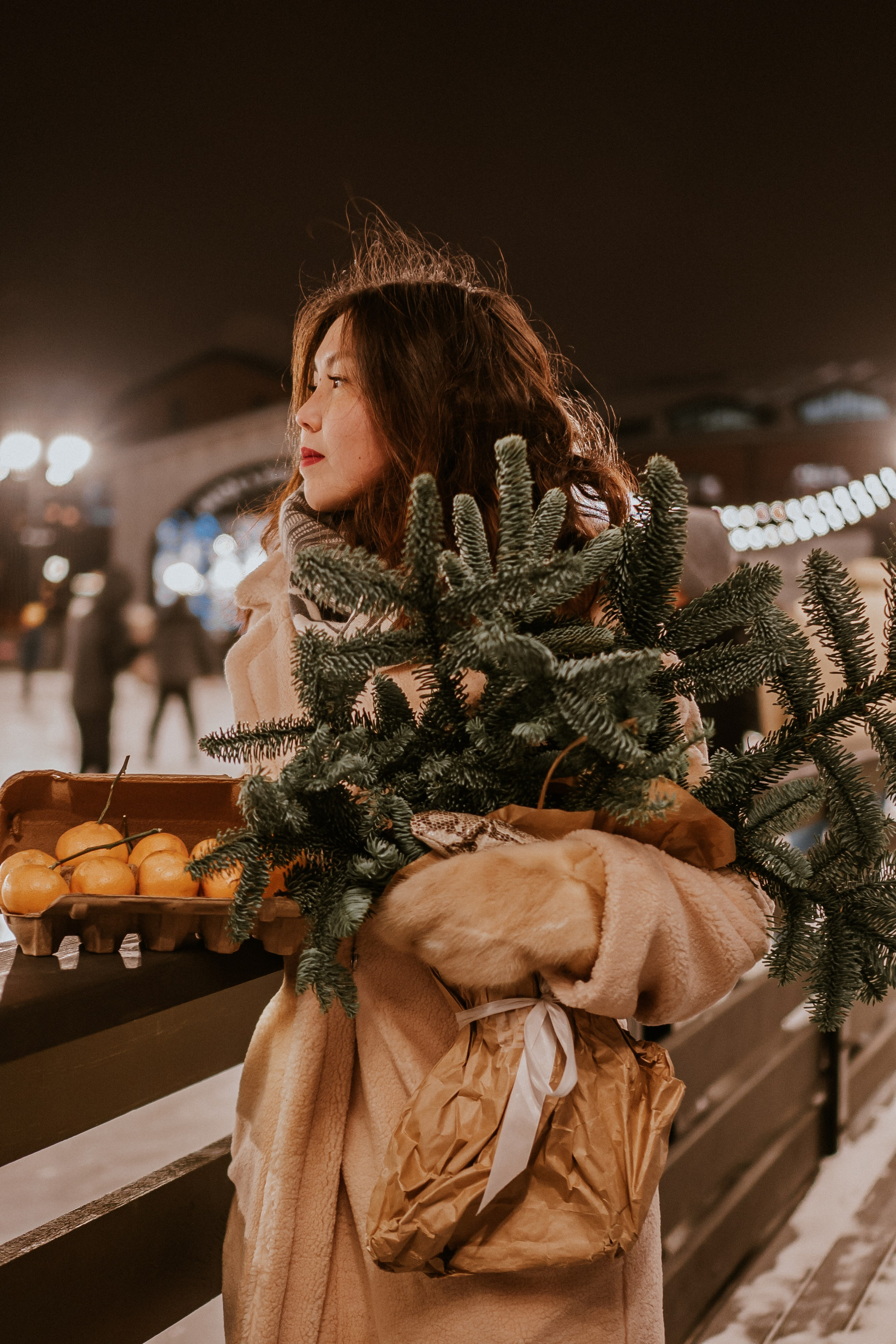 Зимняя сказка в Новой Голандии. Профессиональный фотограф, Санкт-Петербург — Виктория Богомолова