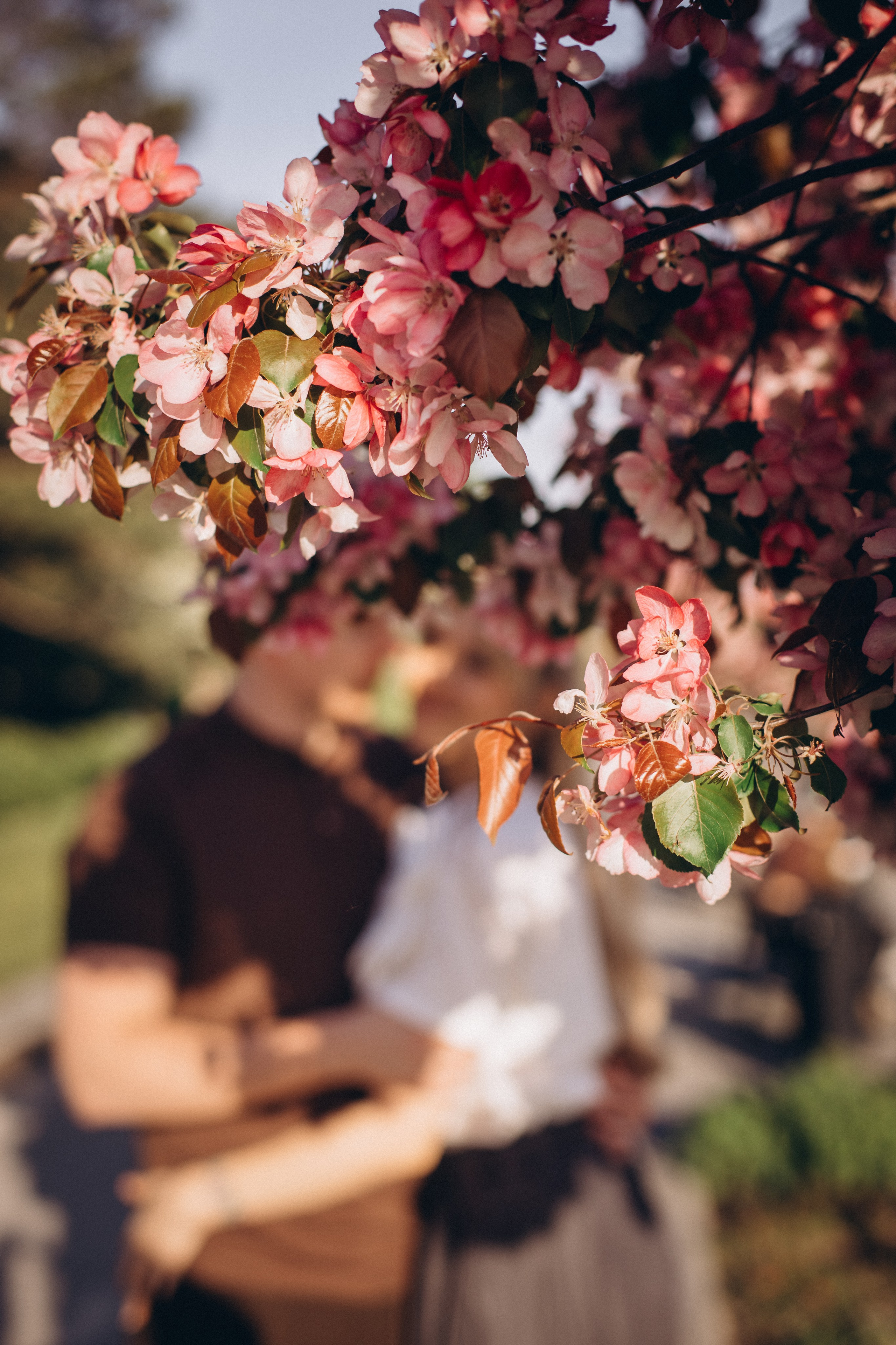 LoveSyory. Фотограф