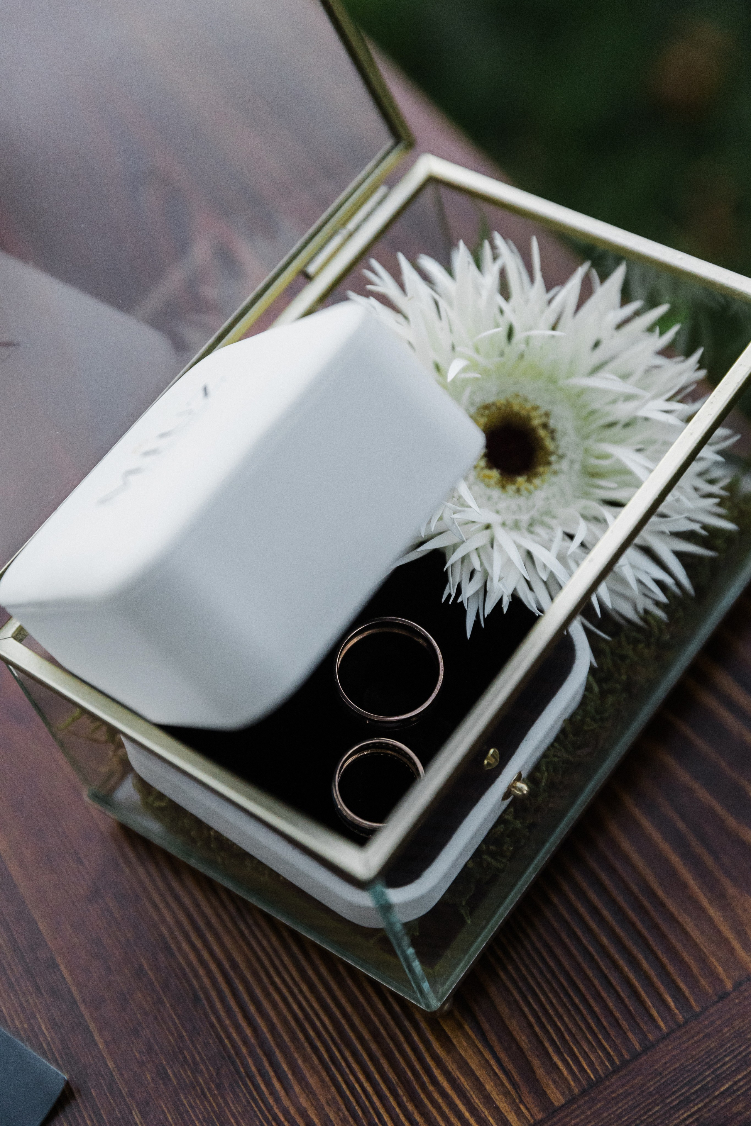 Павел и Дарья. Фотограф Айвазова Наталья Краснодар