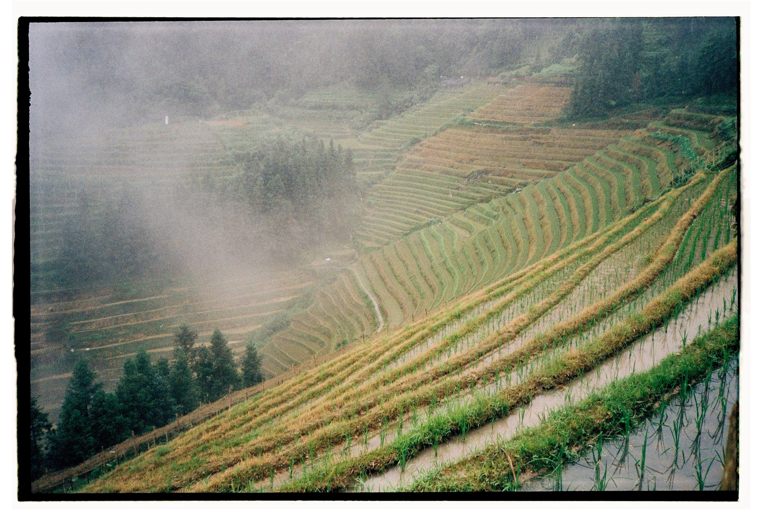Asia. Olya Filina | Moscow Photographer