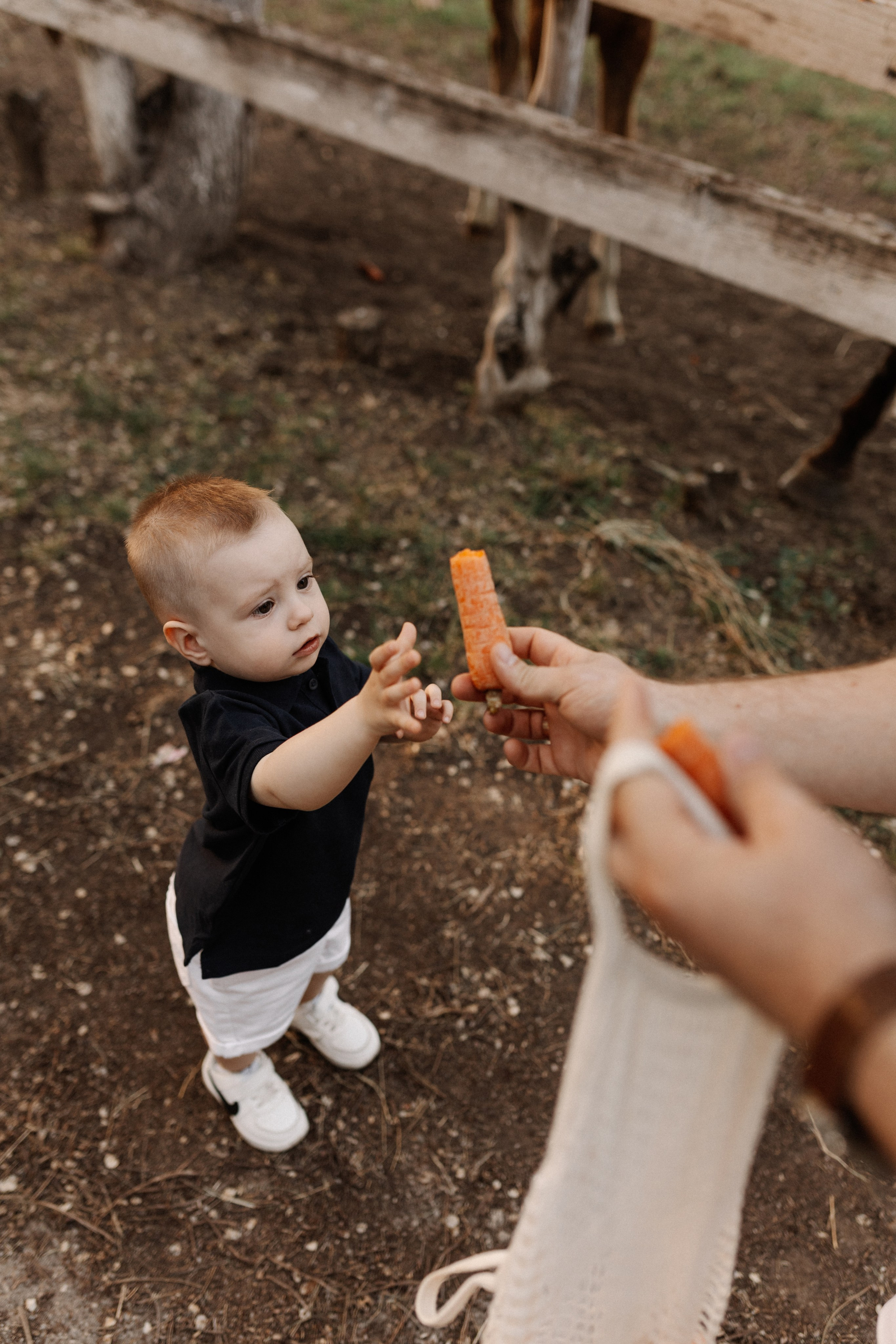 Лена, Кирилл и Арсений. Семейный фотограф в Краснодаре Виктория Кокоулина