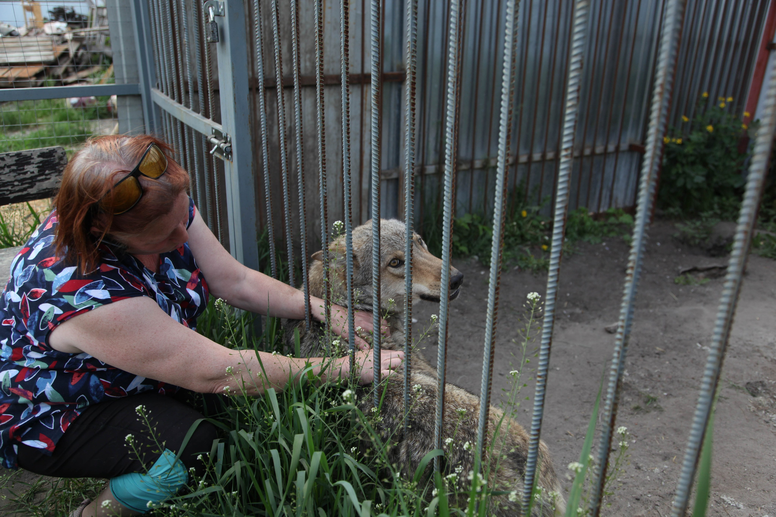 Доброе сердце. Полина Трель