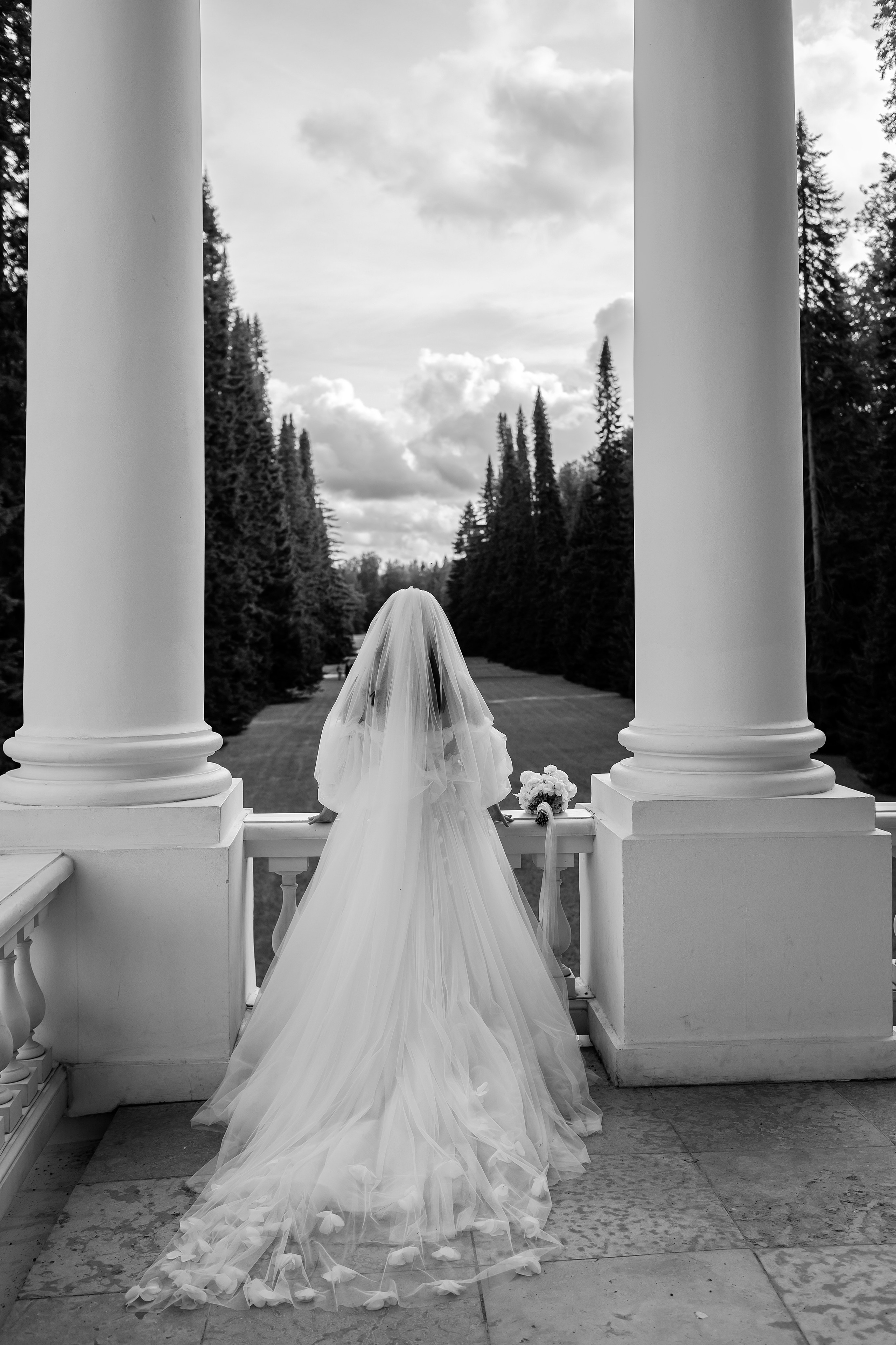 Виктория и Алексей. Свадебный фотограф Екатерина Чаусова