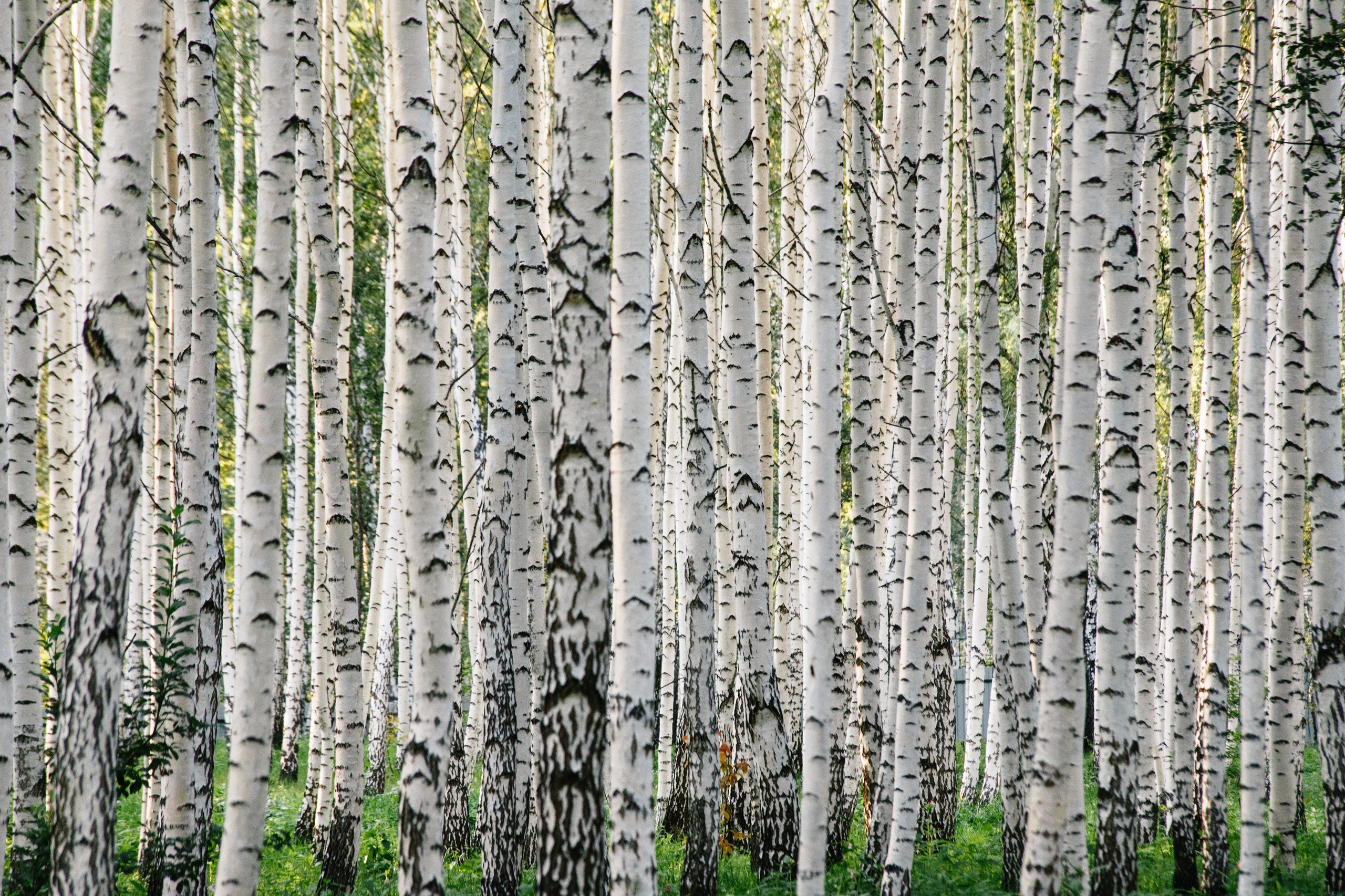 Документальный и коммерческий фотограф Влад Некрасов