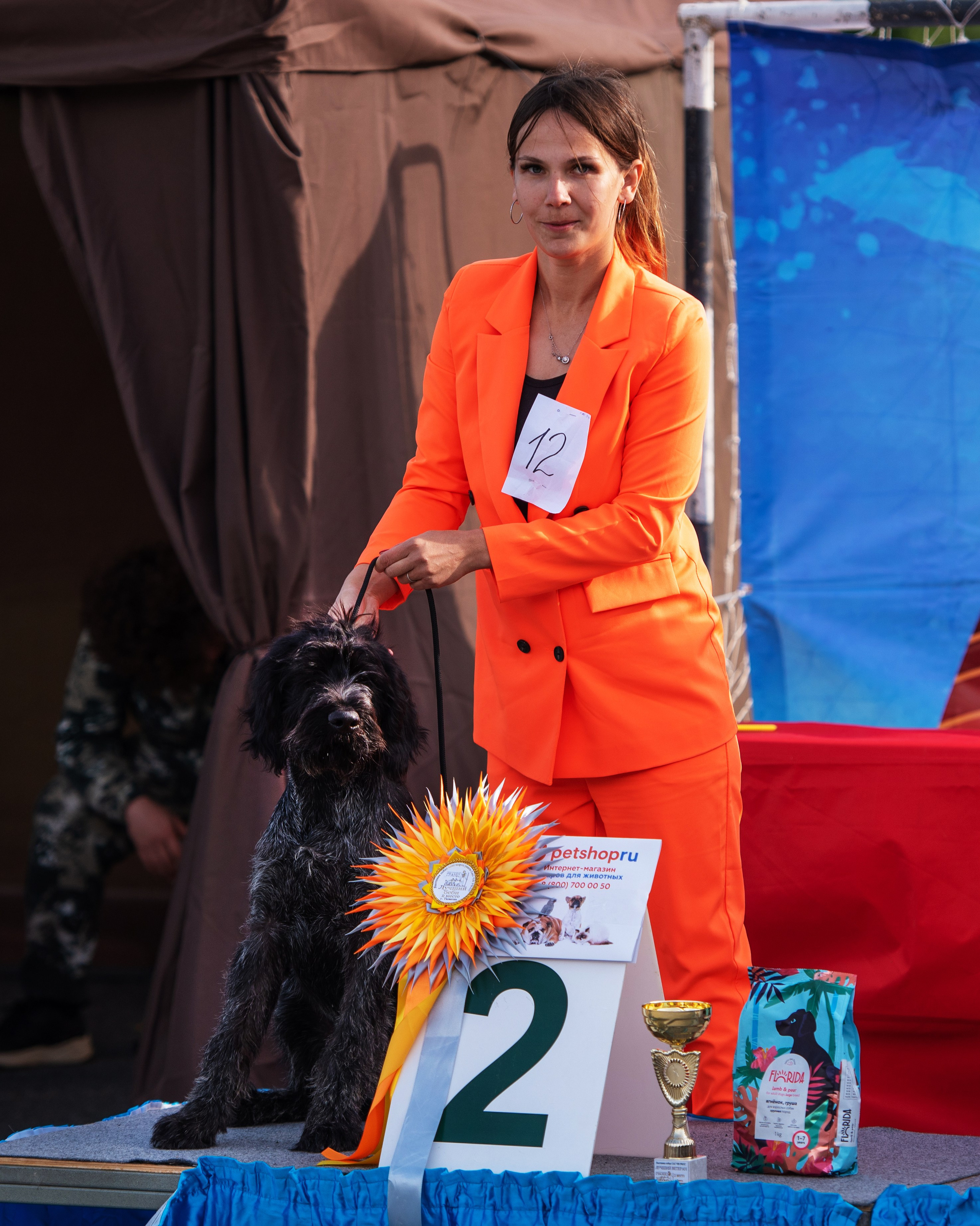 Выставки. Главная