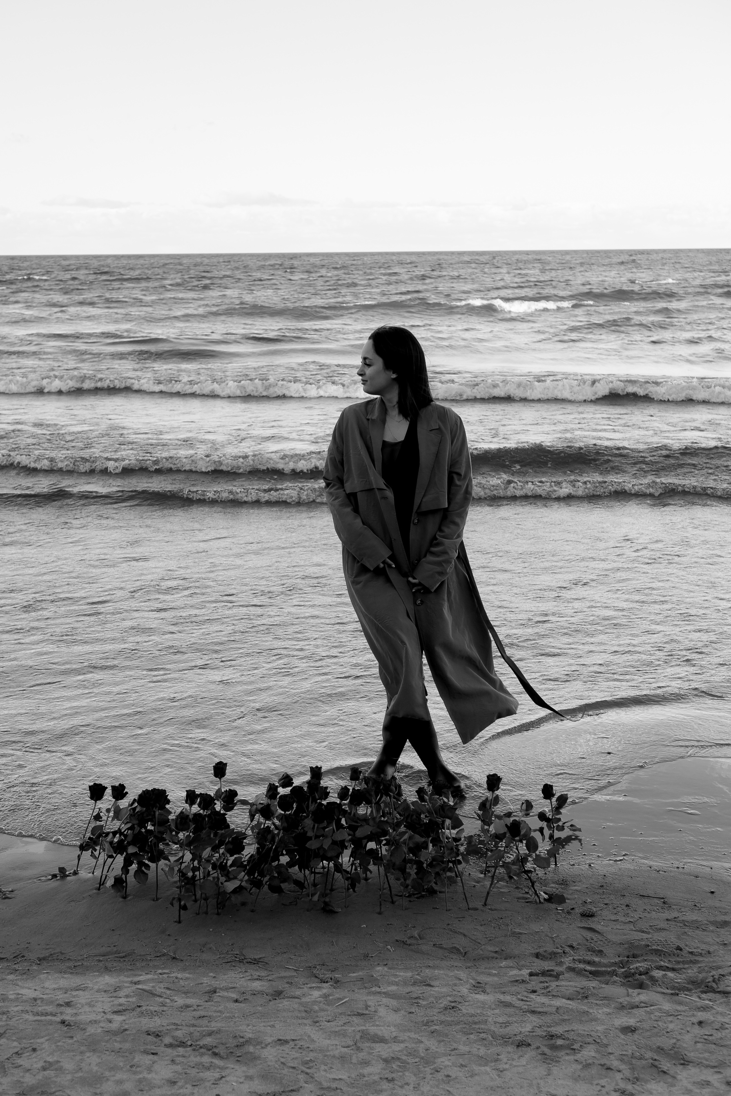 Розы. Профессиональный фотограф, Санкт-Петербург — Виктория Богомолова