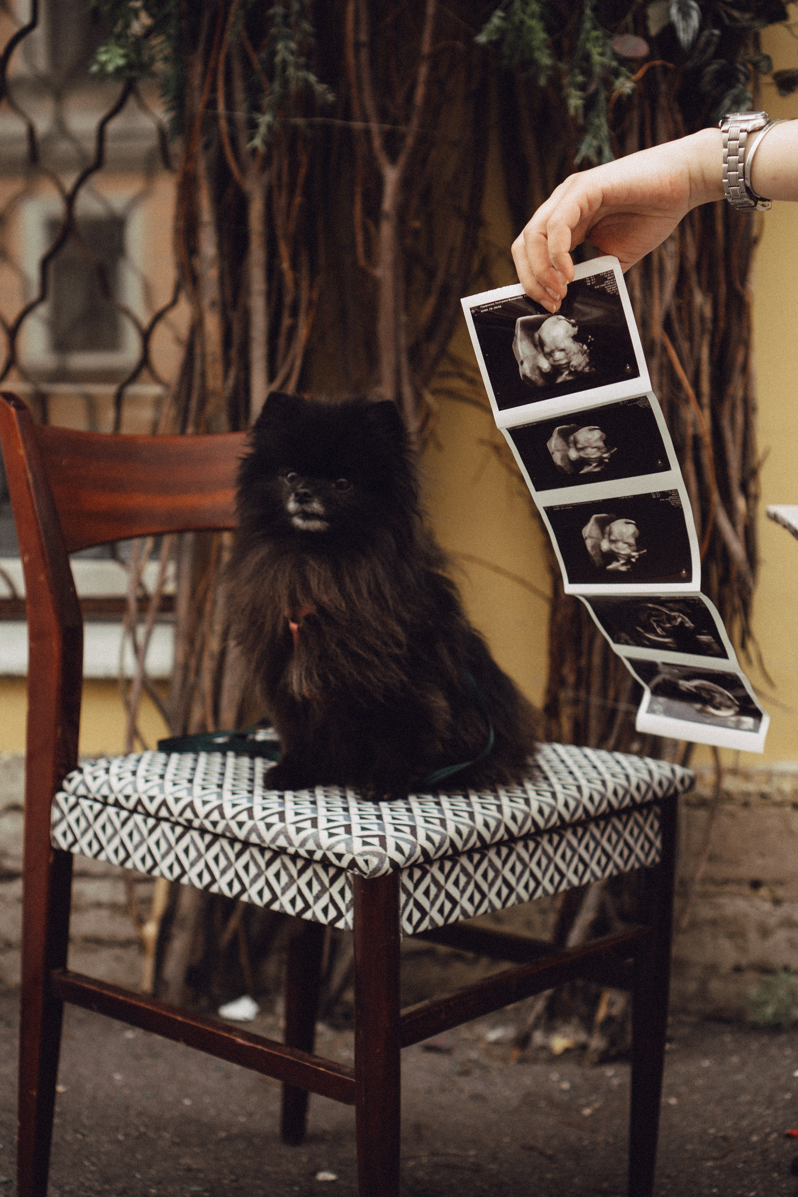 Беременность (только часть фото по желанию клиентов могу показать)). Профессиональный фотограф, Санкт-Петербург — Виктория Богомолова