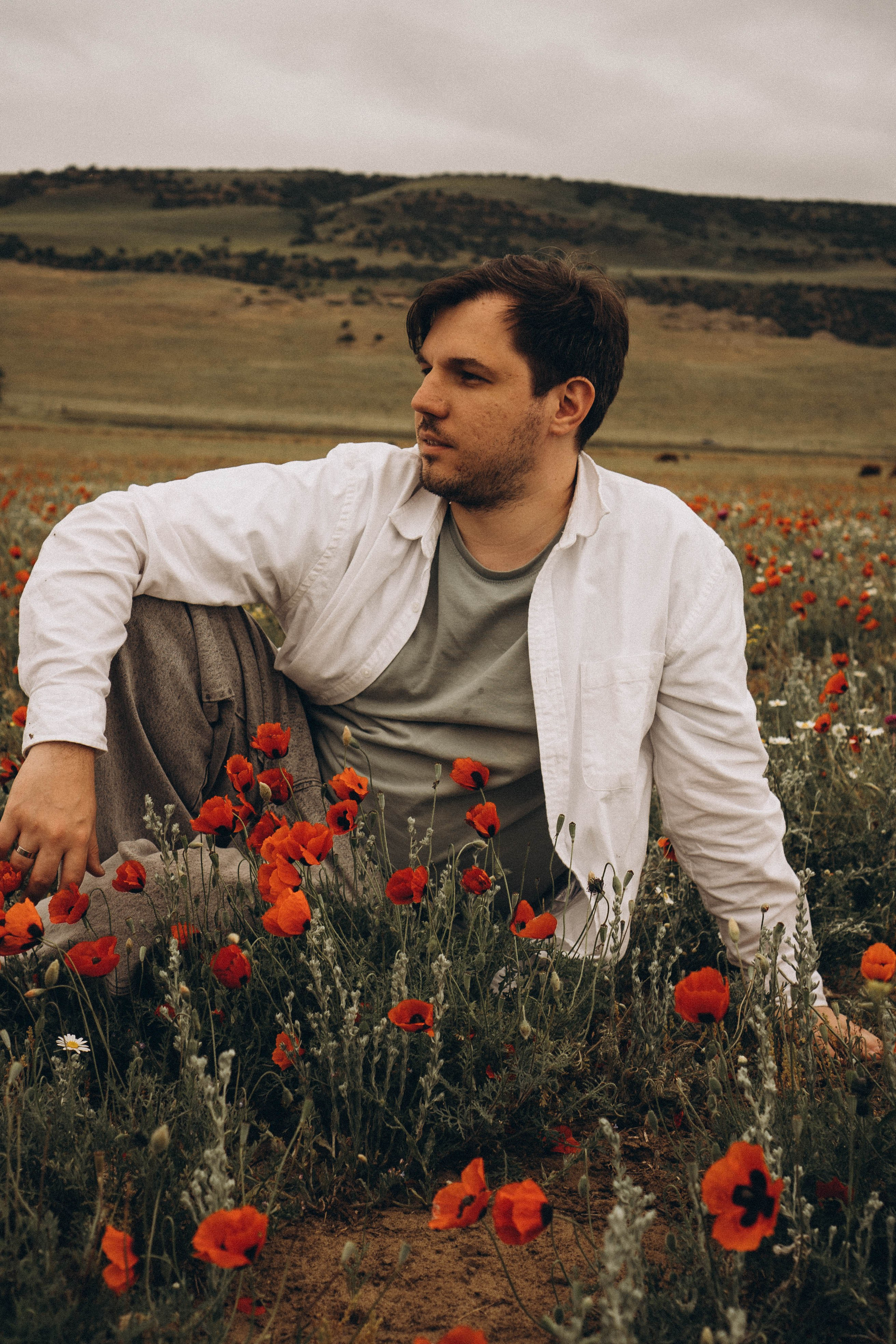 Маки. Профессиональный фотограф, Санкт-Петербург — Виктория Богомолова