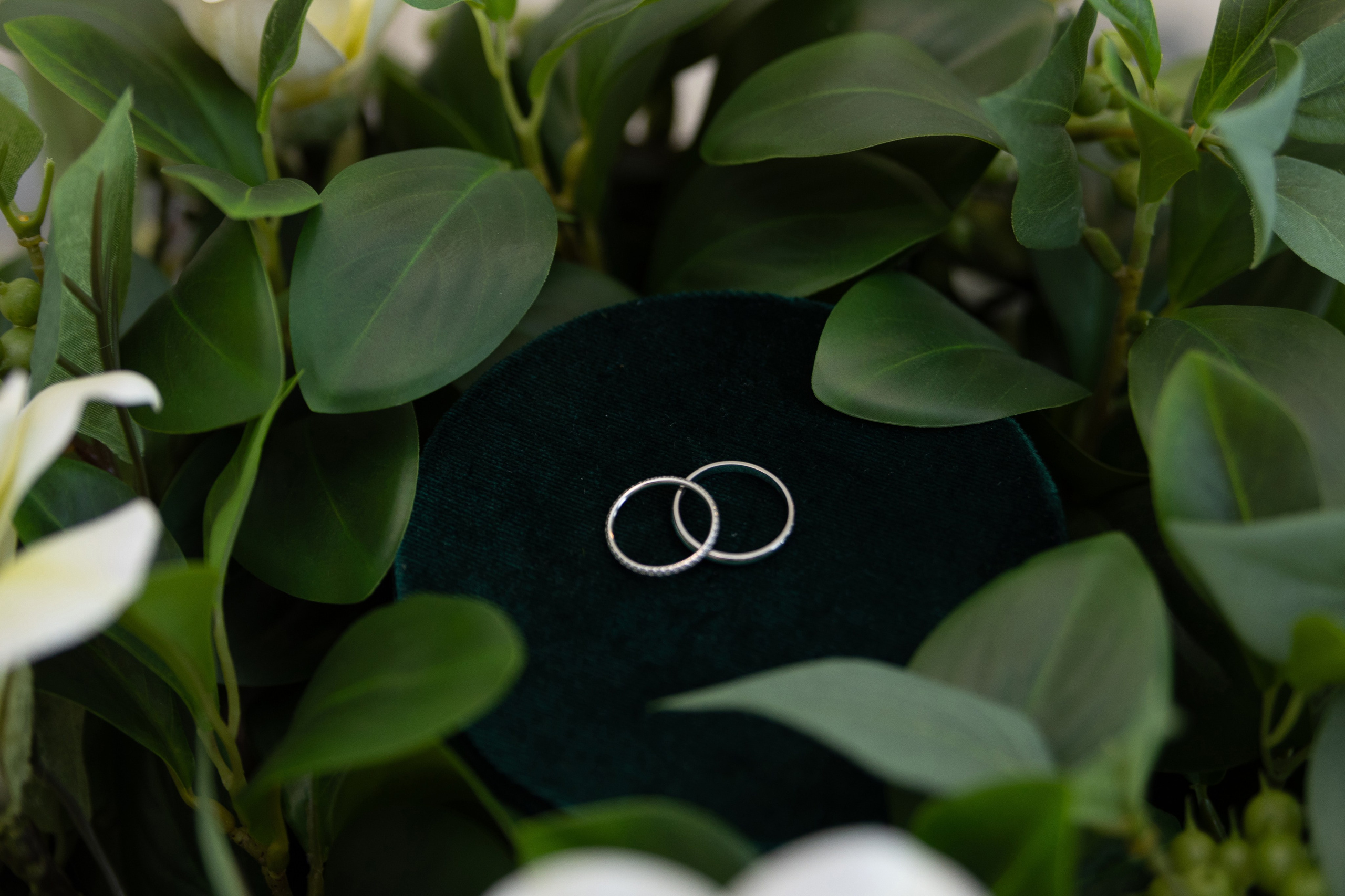 05.07.25 Юрий & София. Свадебный и семейный фотограф в Новосибирске Дарья Кель