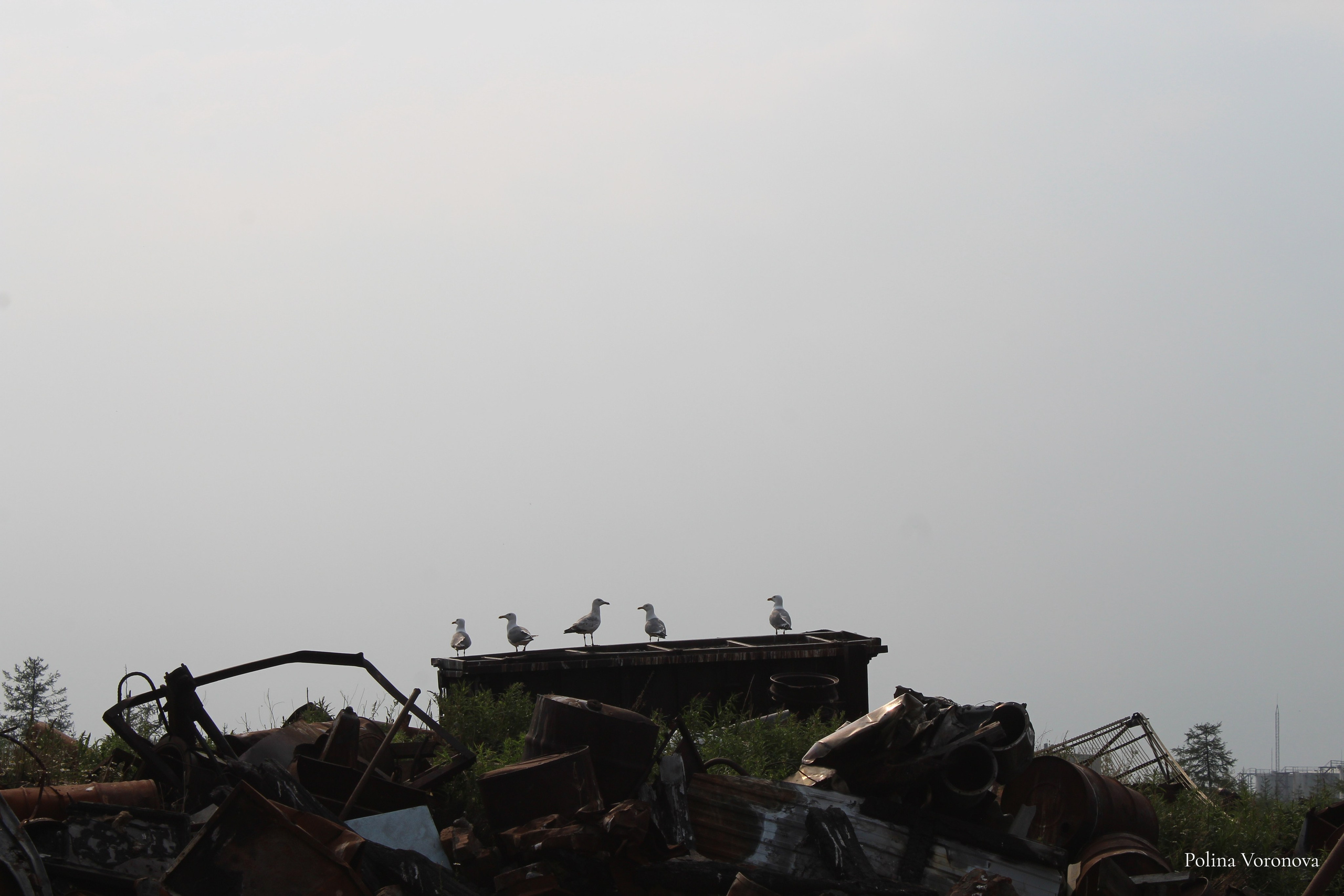 Хатанга и Русское Географическое общество 2024. Хорошая экспедиция