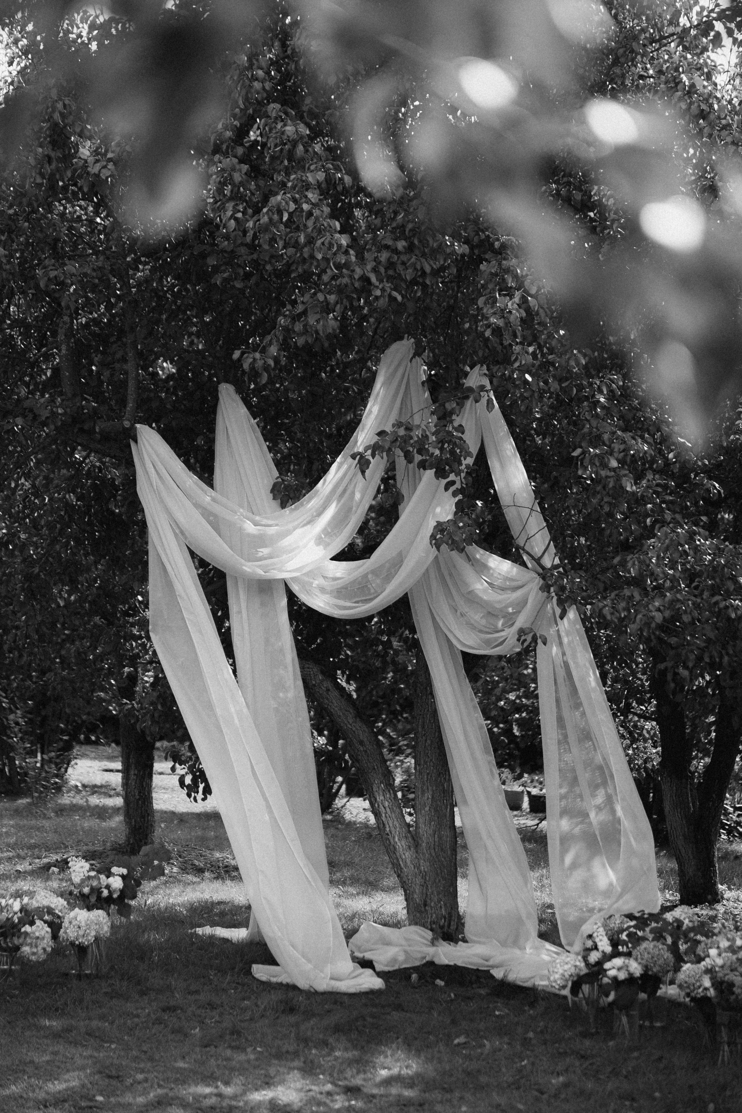 Михаил и Александра. Свадебный фотограф Анастасия Тащилина