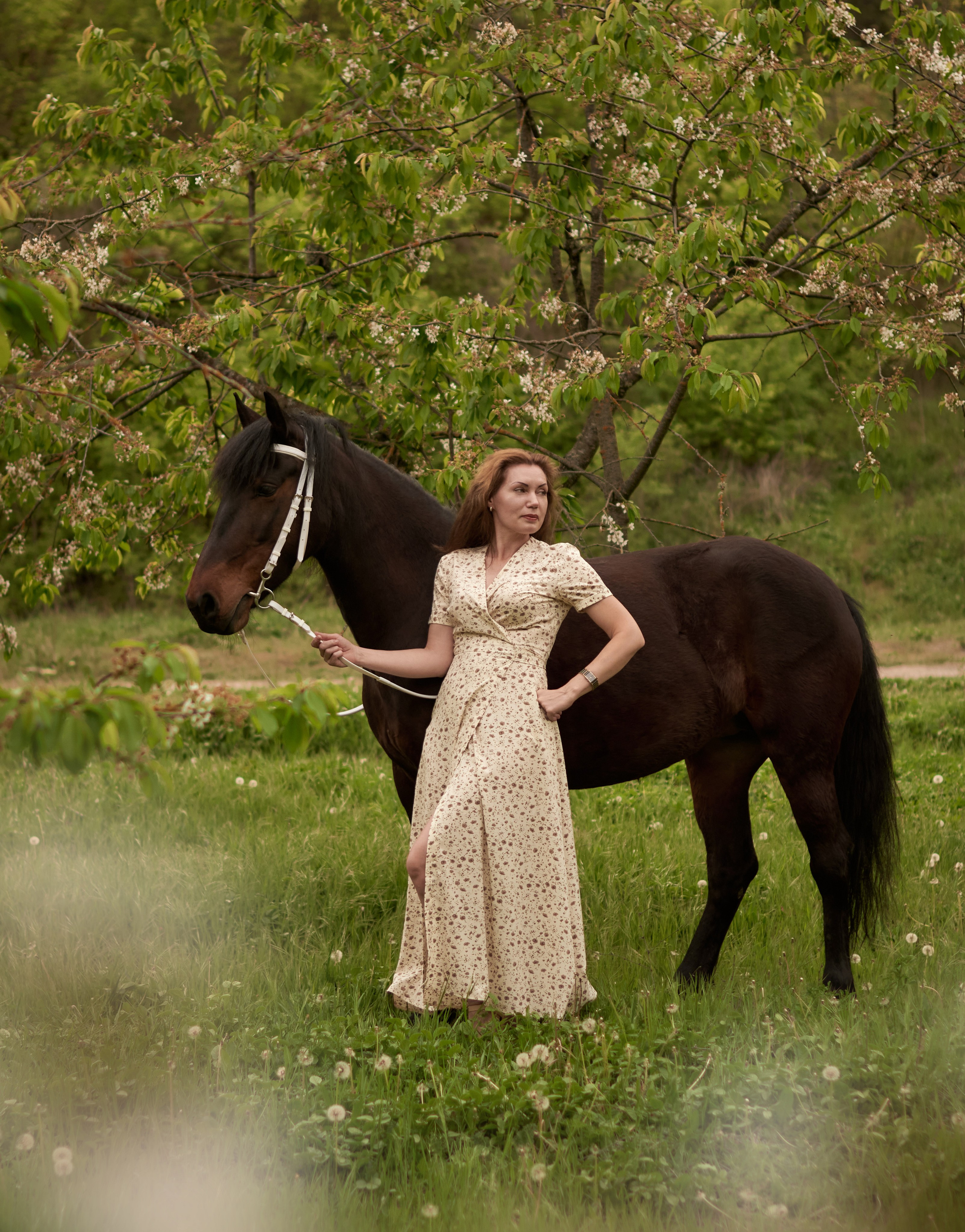 Фотосессия с лошадью Севастополь. Фотограф в Севастополе