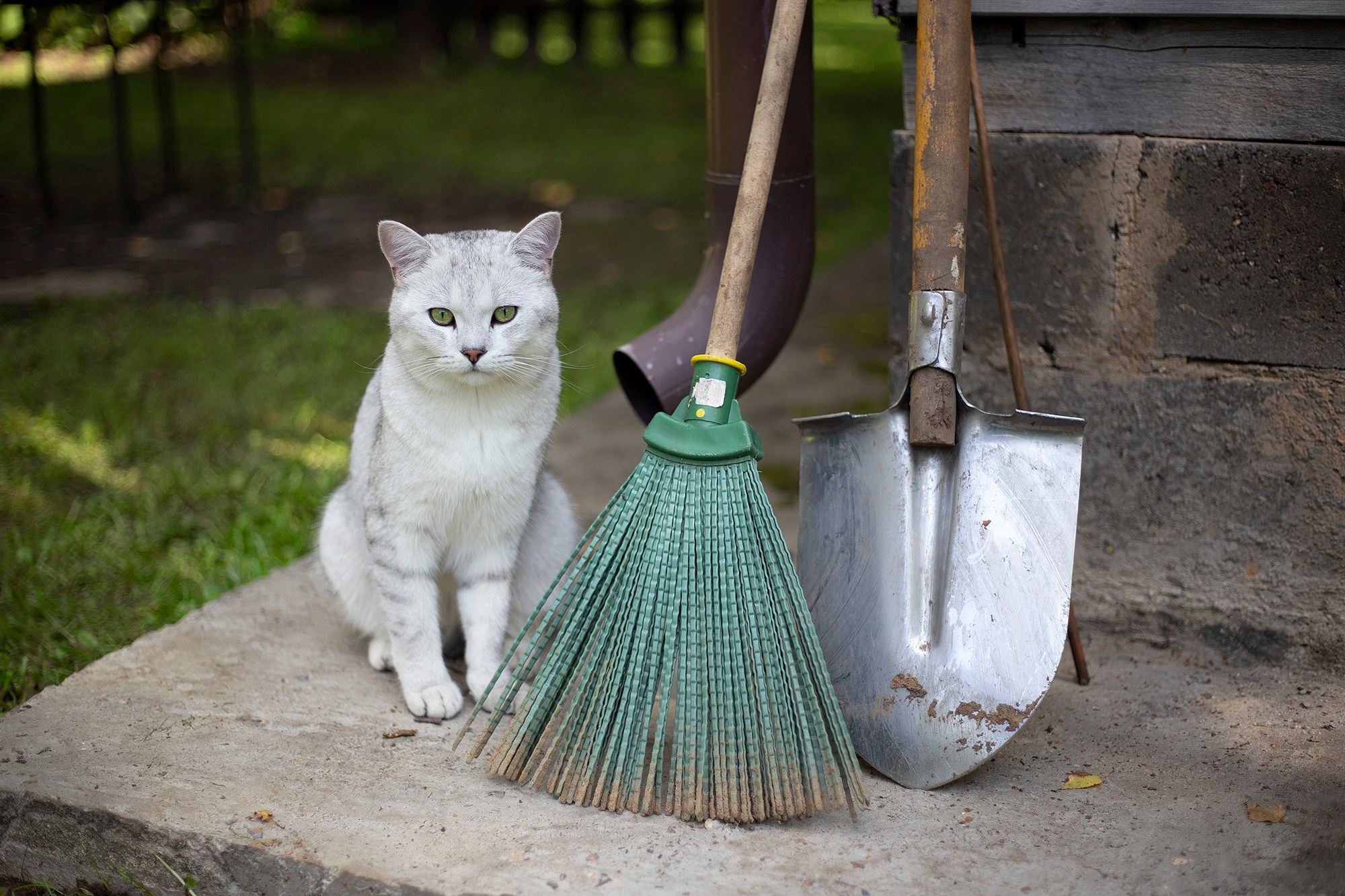 Жанровый портрет. Фотограф Лагутин Анатолий