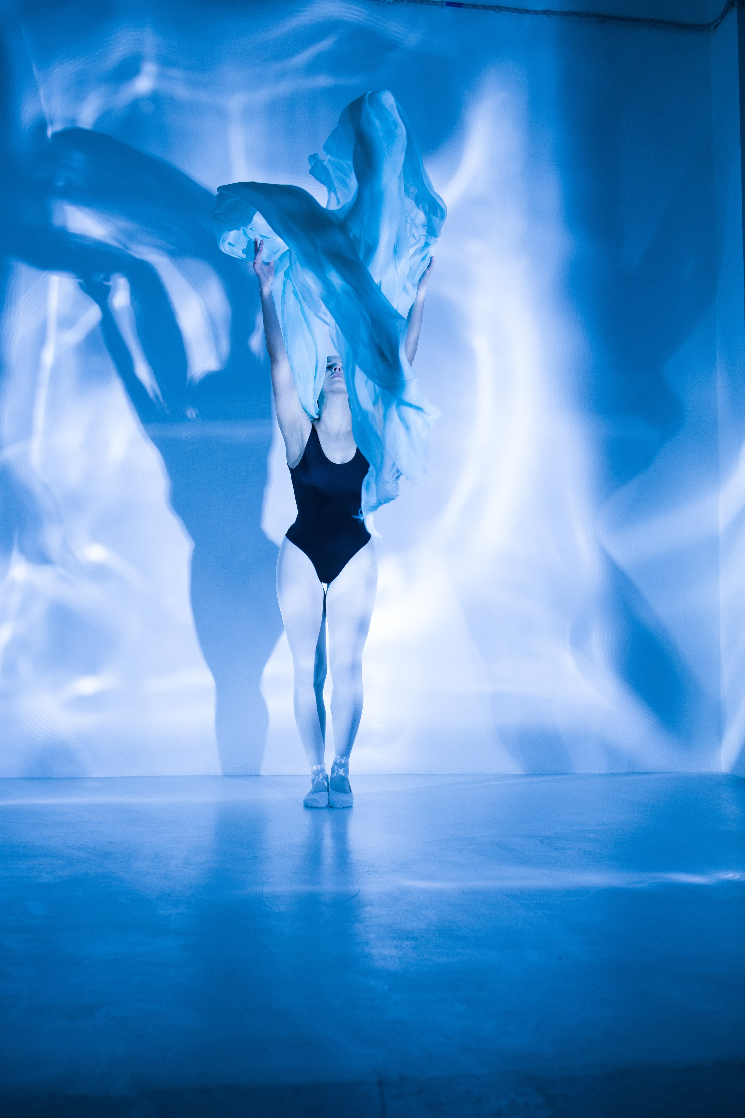 Лилия. Художественная фотография