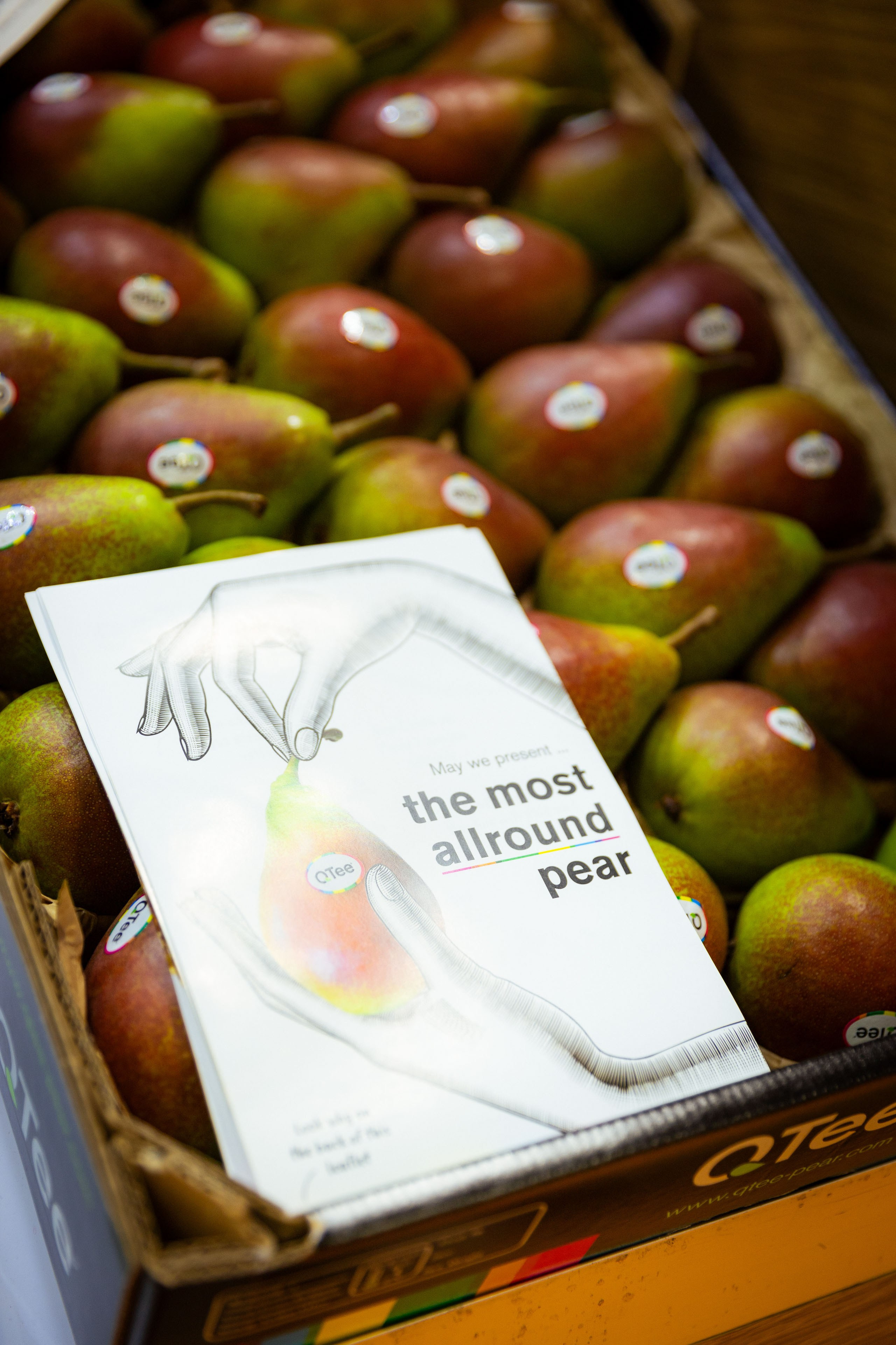 Asia Fruit Logistica [Гонконг 4–6 сентября 2024 г.]. Фотограф Виноградов Константин