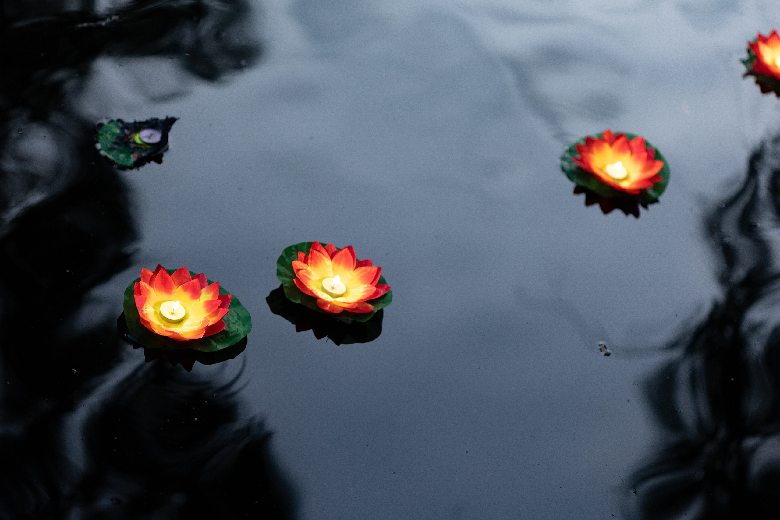 Dream Fest | Санкт-Петербург, 2025. Репортажный фотограф