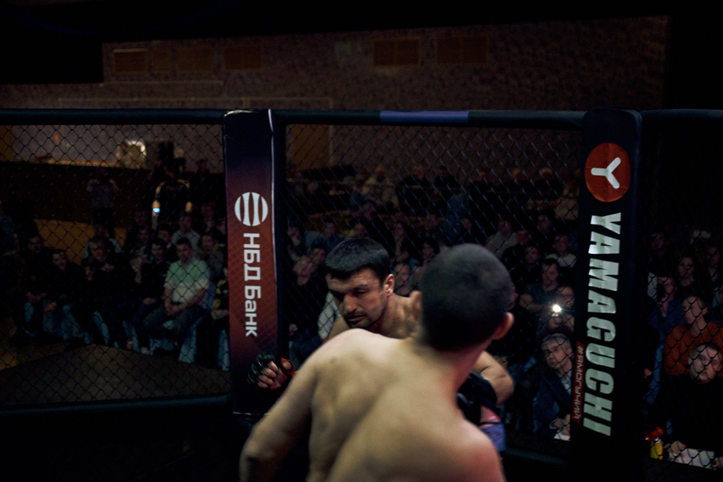 Бои. Маляревич Дмитрий свадебный фотограф