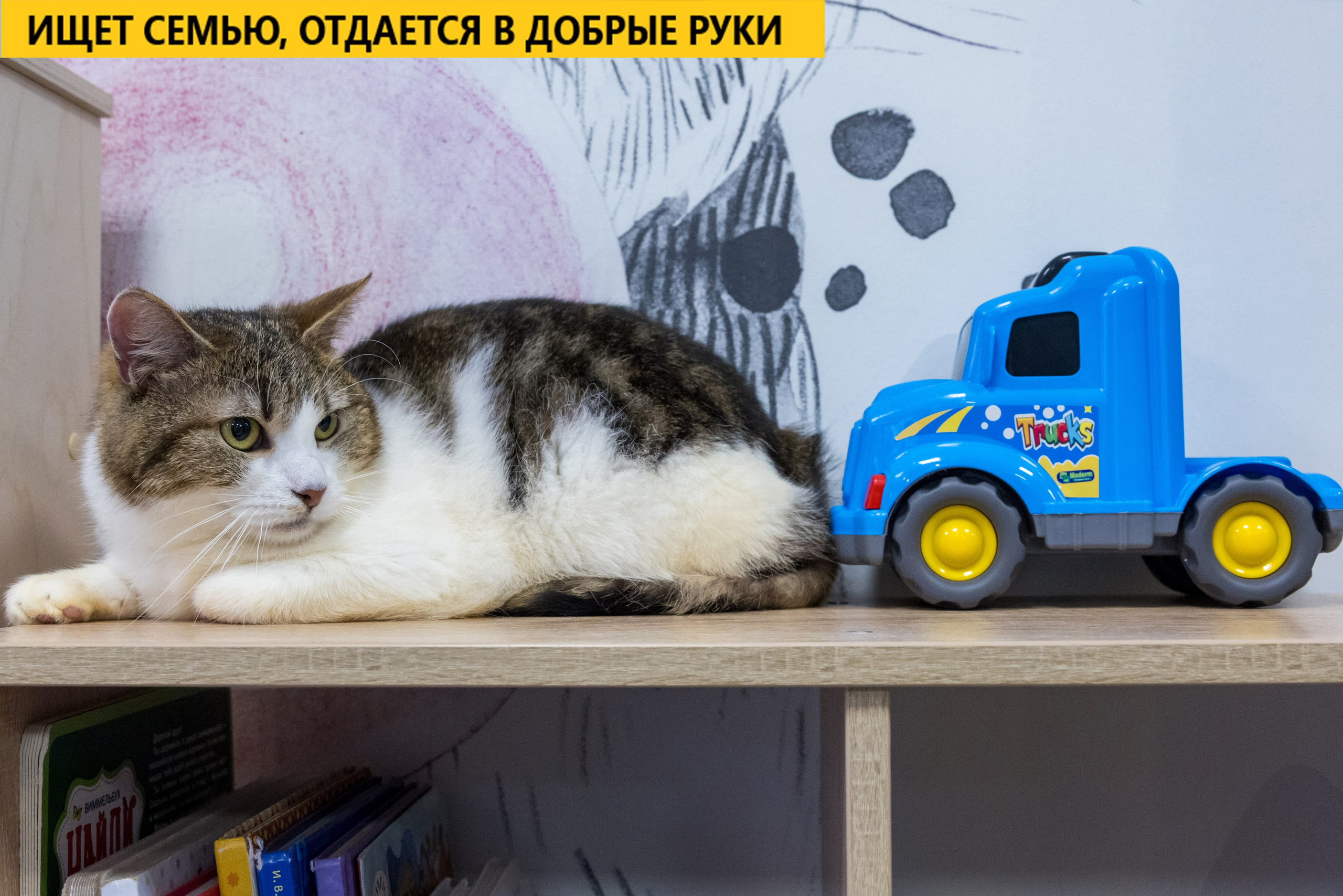 Рекламная съемка в Москве. Геннадий Степанов —фотограф в Москве
