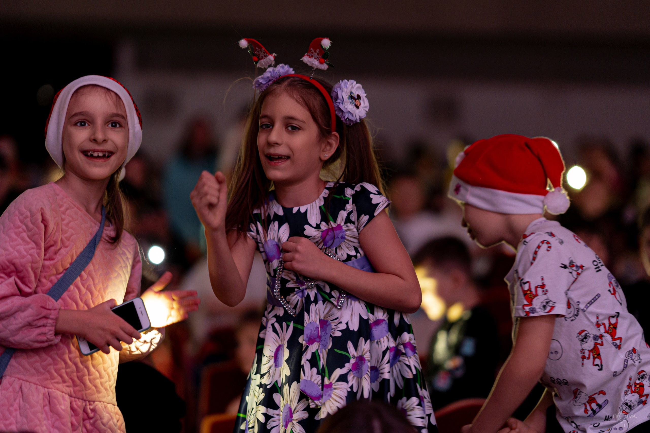 Ёлка. ФОТОГРАФ ИВАН НОВИКОВ | СТАВРОПОЛЬ