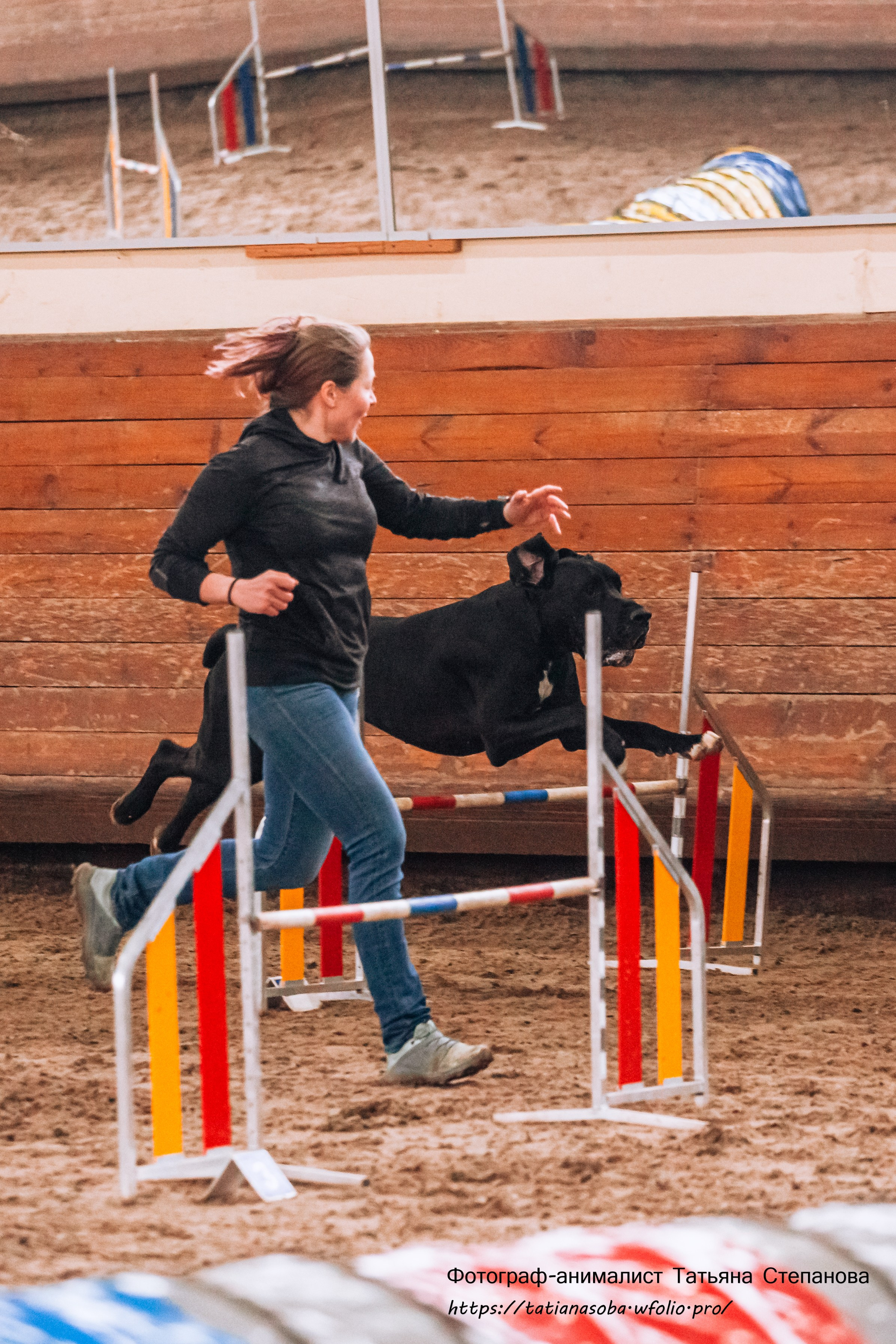 Соревнования по Аджилити 25.02.2024. Фотограф-анималист Татьяна Степанова