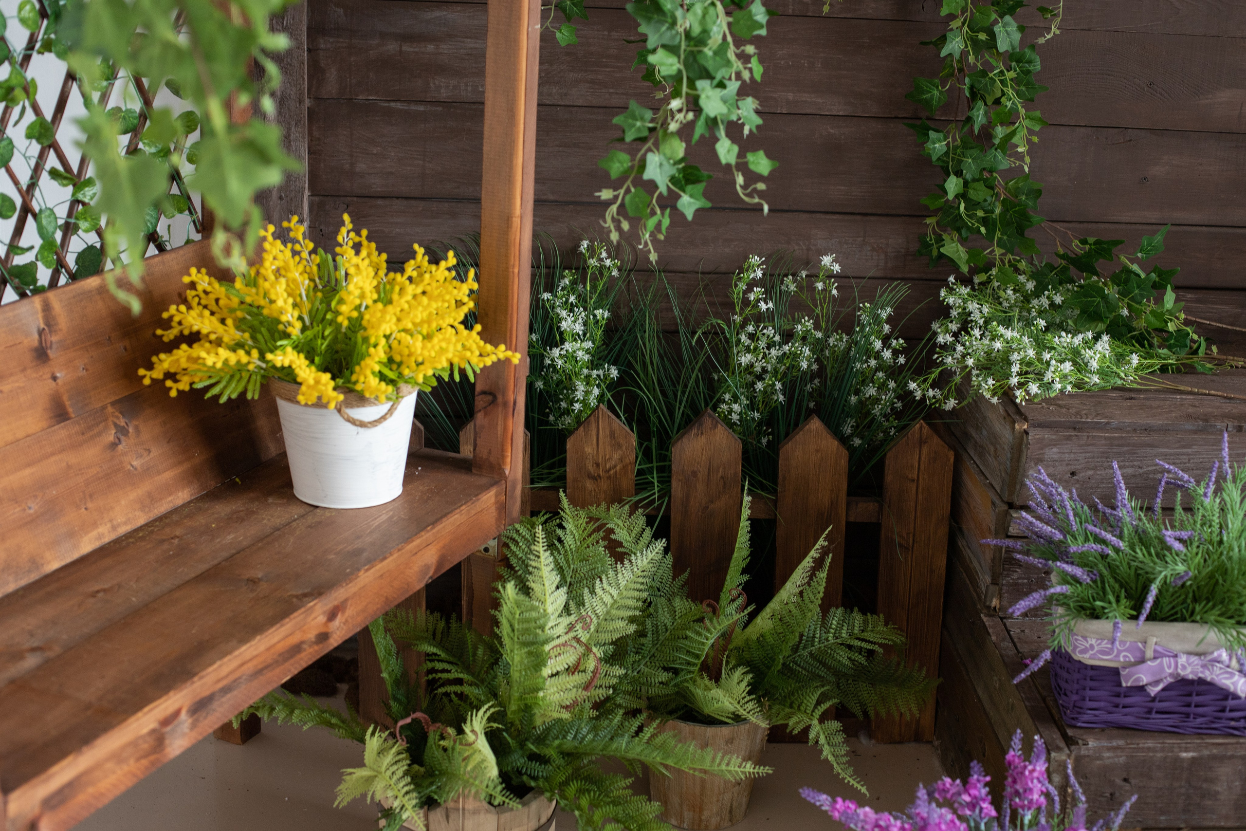 Буфет (студия Зеркало). Фотограф г. Хабаровск. Семейные и индивидуальные съёмки