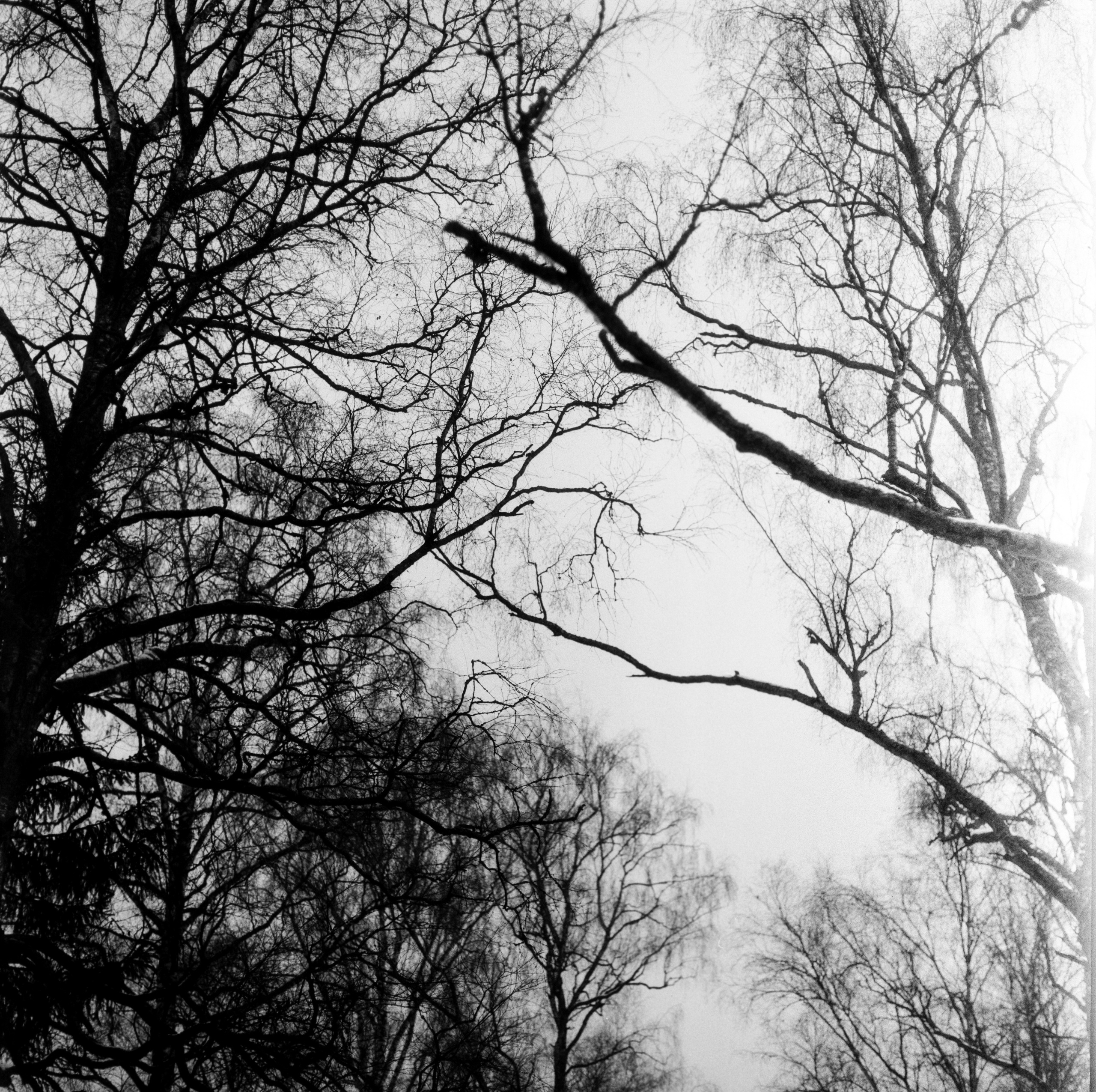 Kowa Super 66 — Kowa 85 mm f/2.8 / SFL Double-X Aerographic 400 (Kodak 2405)