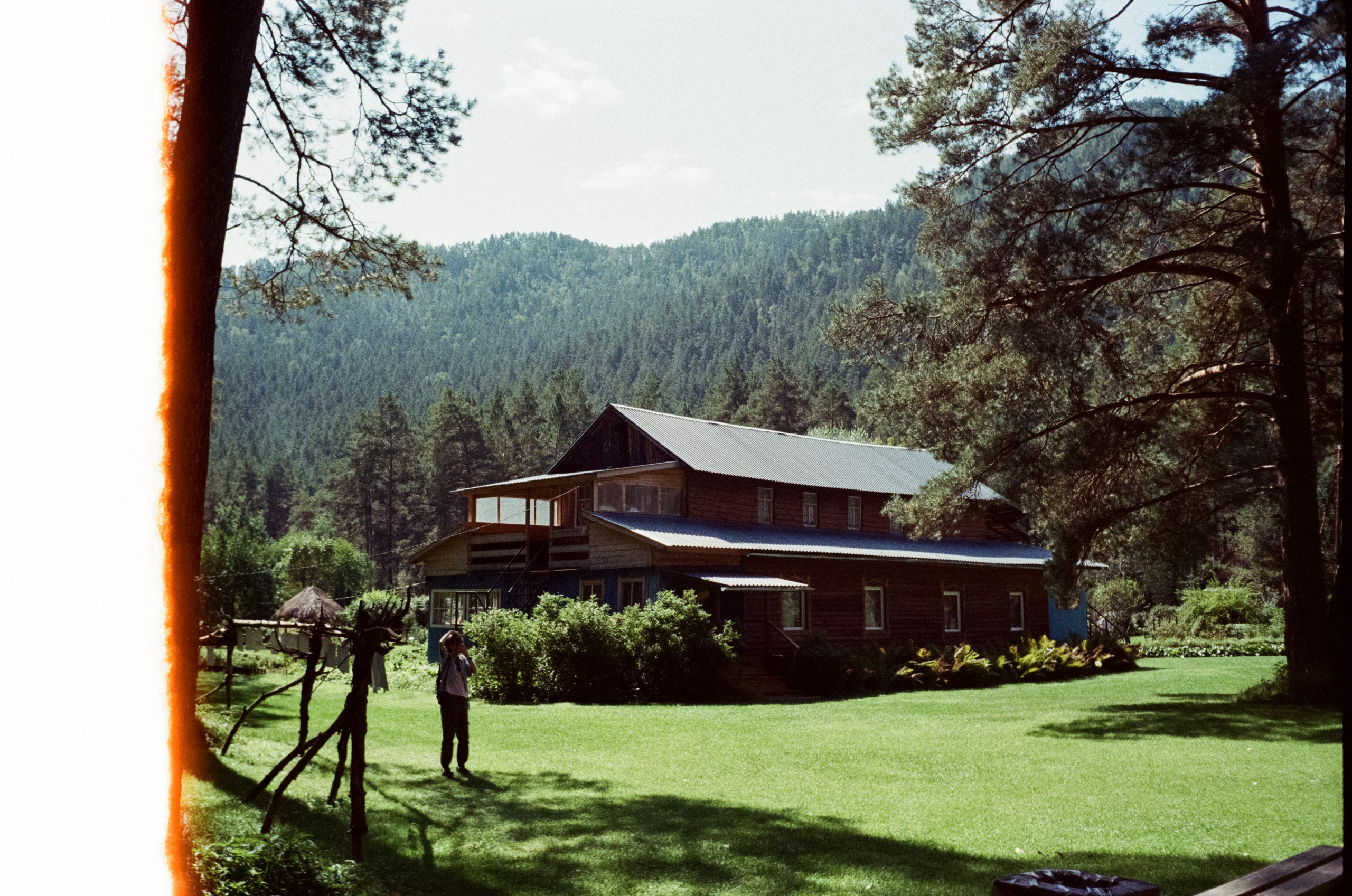 Горно-алтайский ботанический сад, база Кедровый остров / 27 августа 2024 года