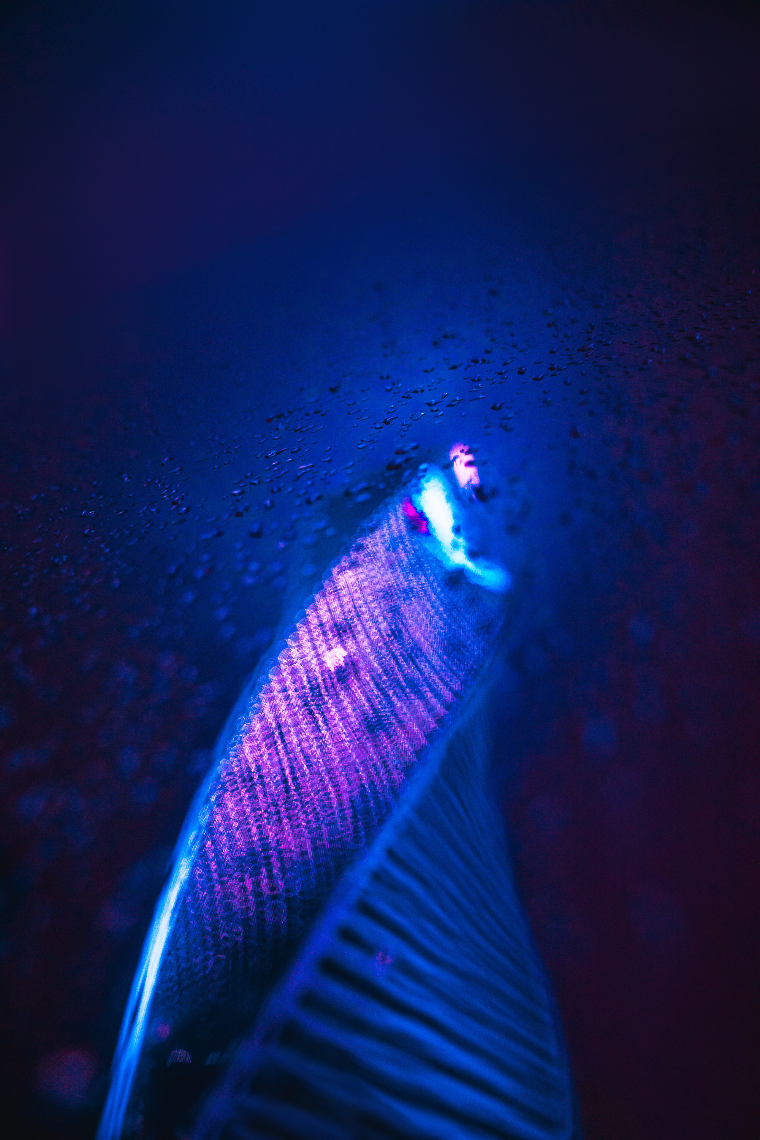 Стрелков Антон — фотограф