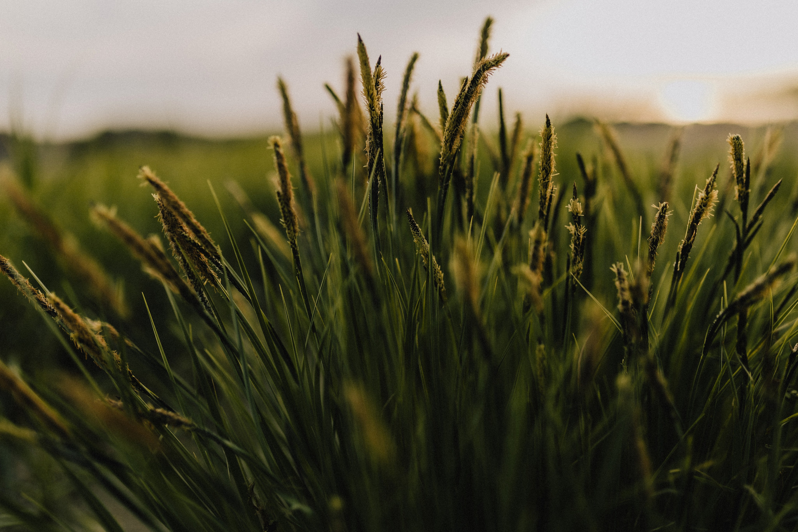 Ксения и Александр. Фотограф в Санкт-Петербурге