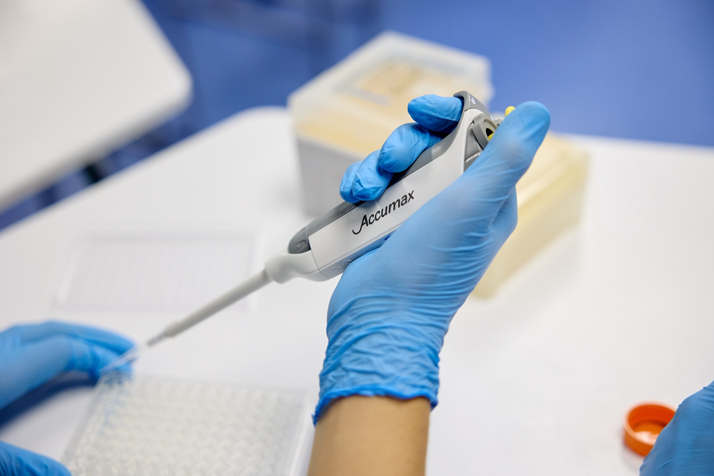 Университетские смены 2025. Репортажный и студийный фотограф во Владивостоке Дударева Софья