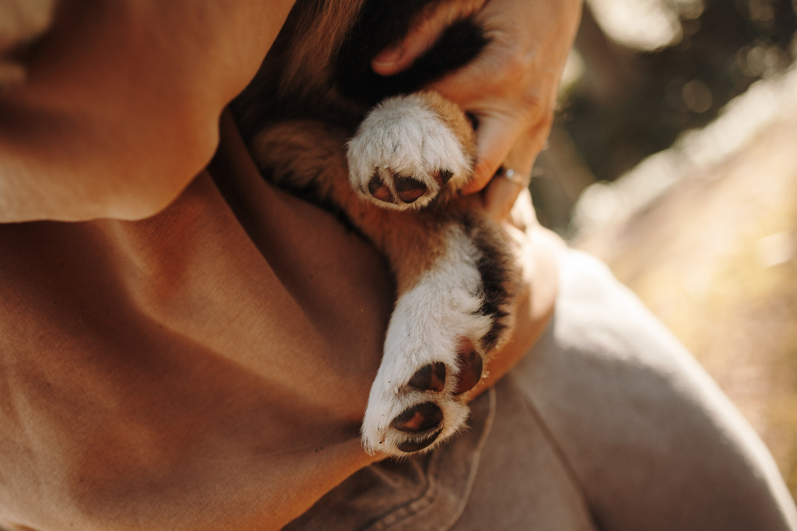 Ира и Шмель. Фотограф — Анималист | Санкт-Петербург