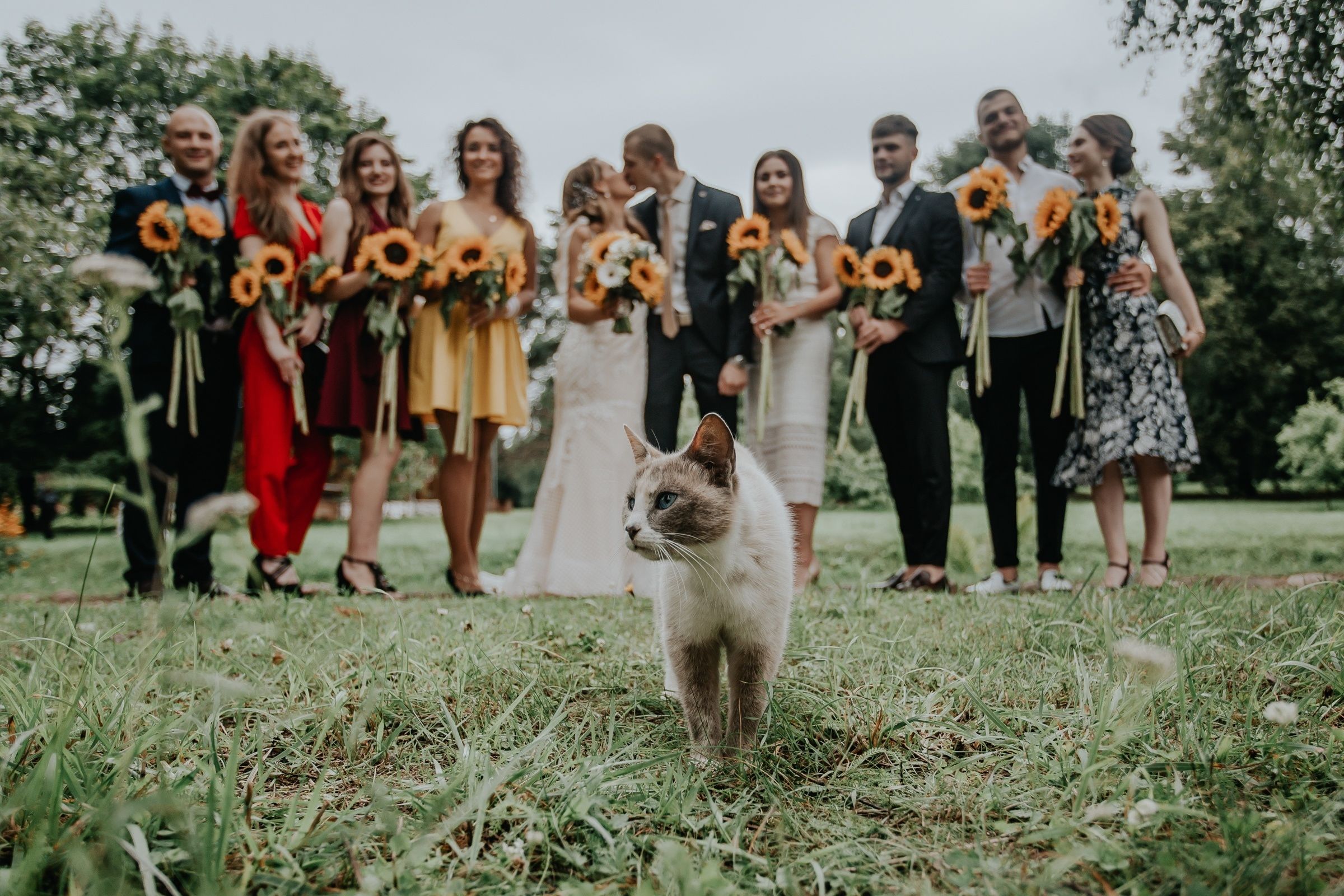 лавстори, фотограф Витебск, фотограф Минск , свадьба, свадебный фотограф Витебск, свадебный фотограф Минск, свадебное платье Витебск, свадебное платье Минск, букет невесты