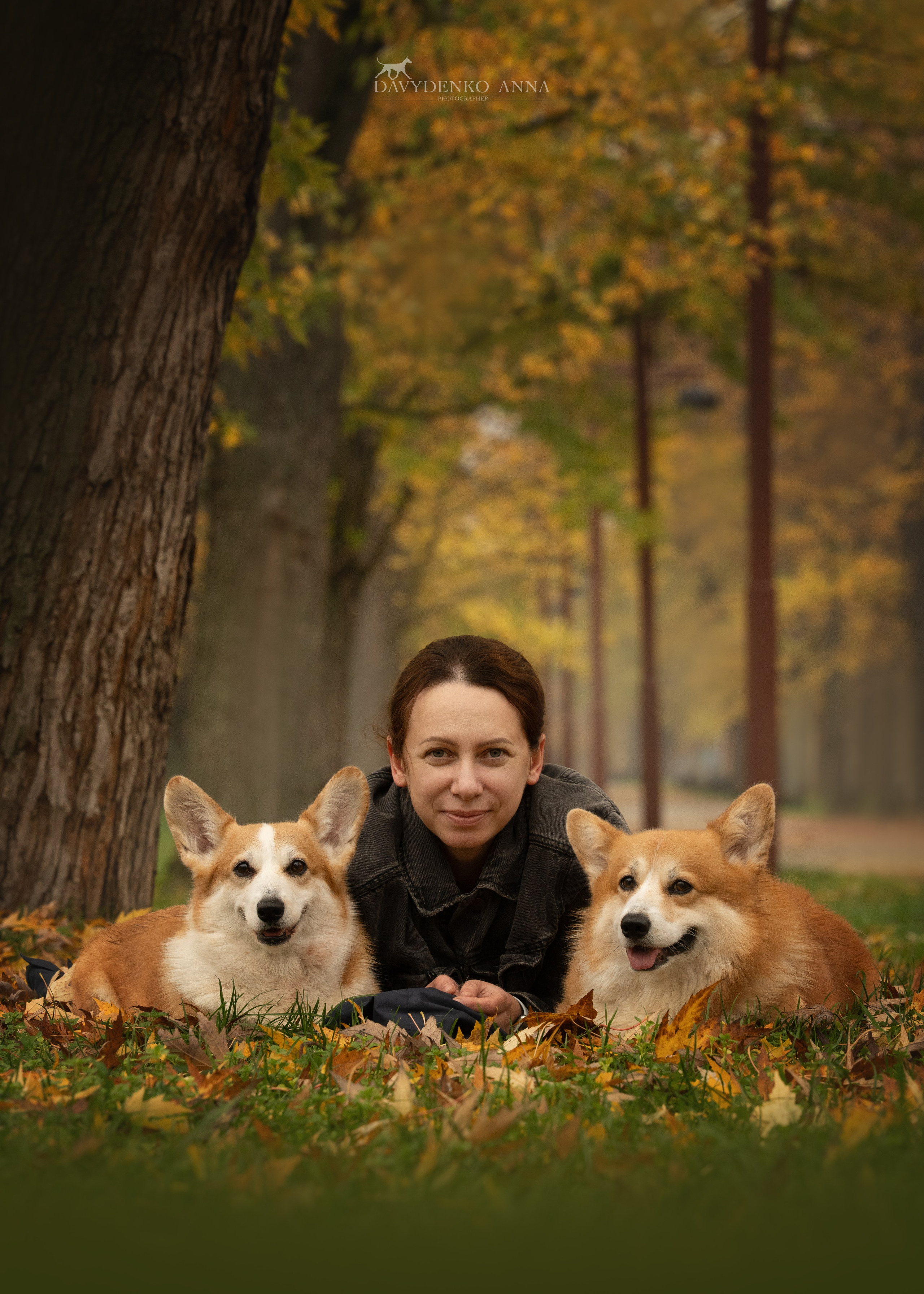фотограф анималист краснодар