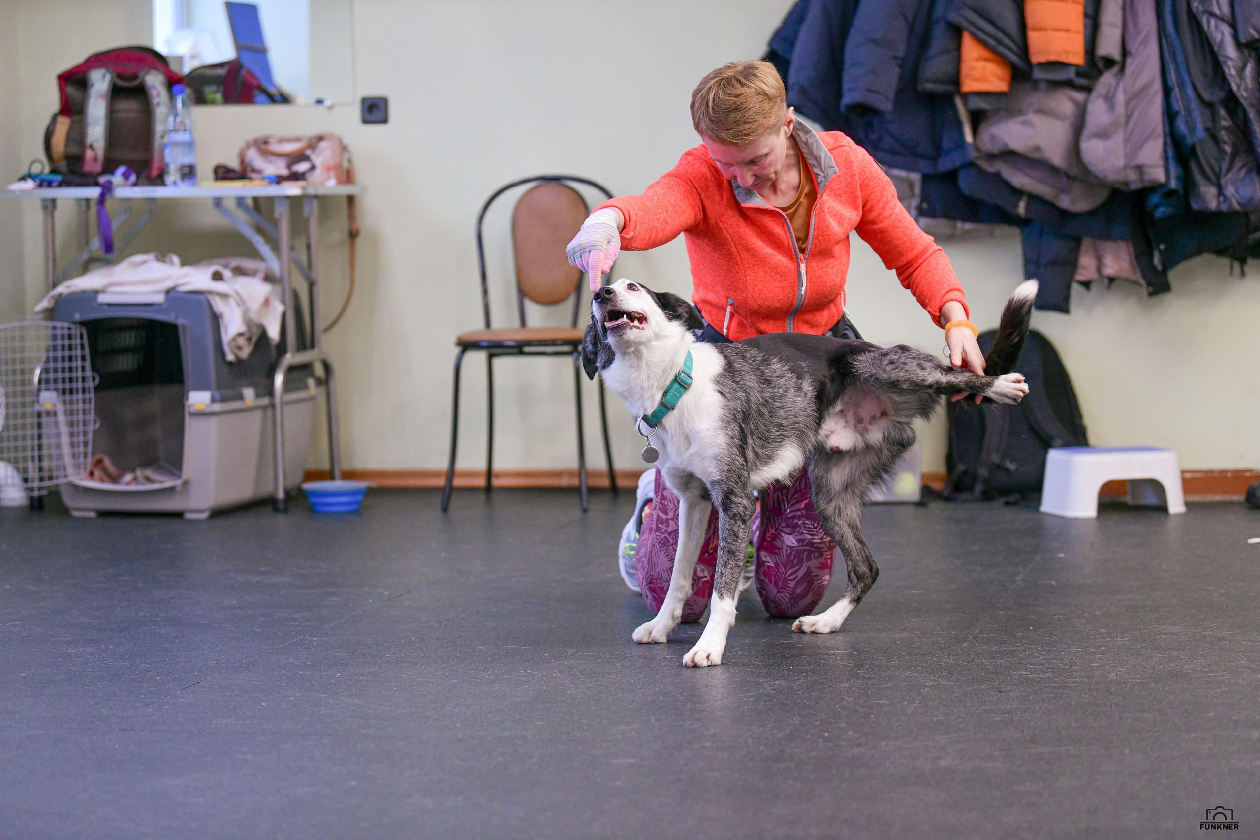Кинологический клуб «Бодрый хвост». Свой взгляд через объектив