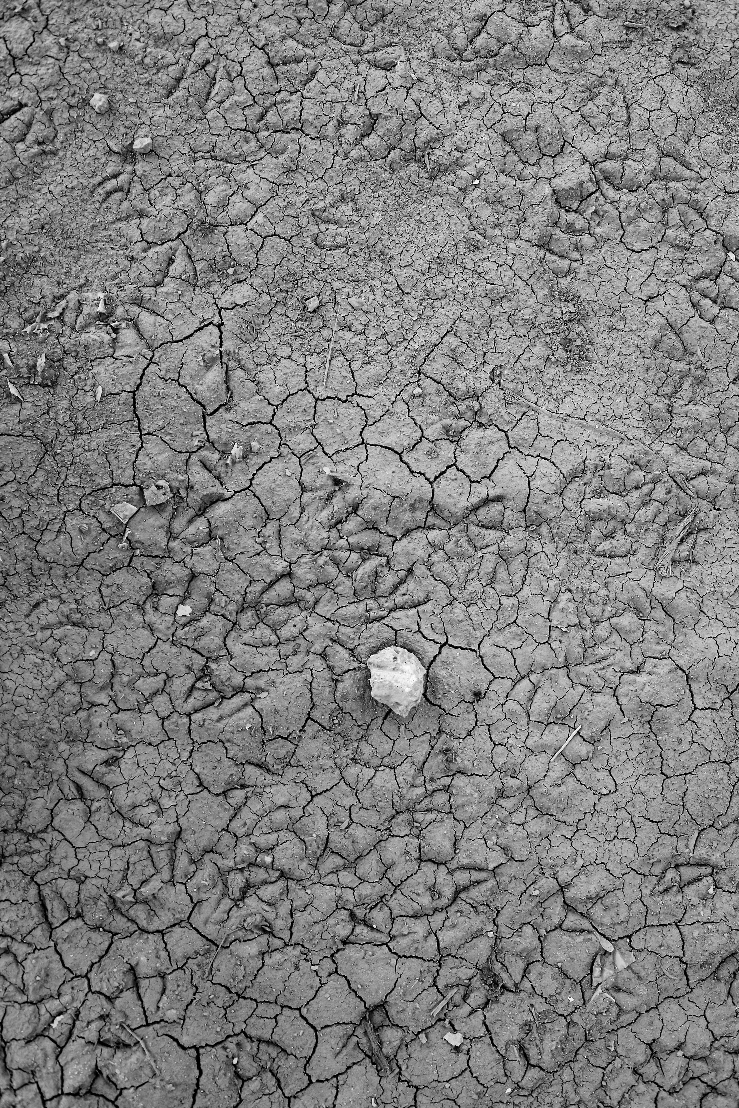 I. Стас Привалов