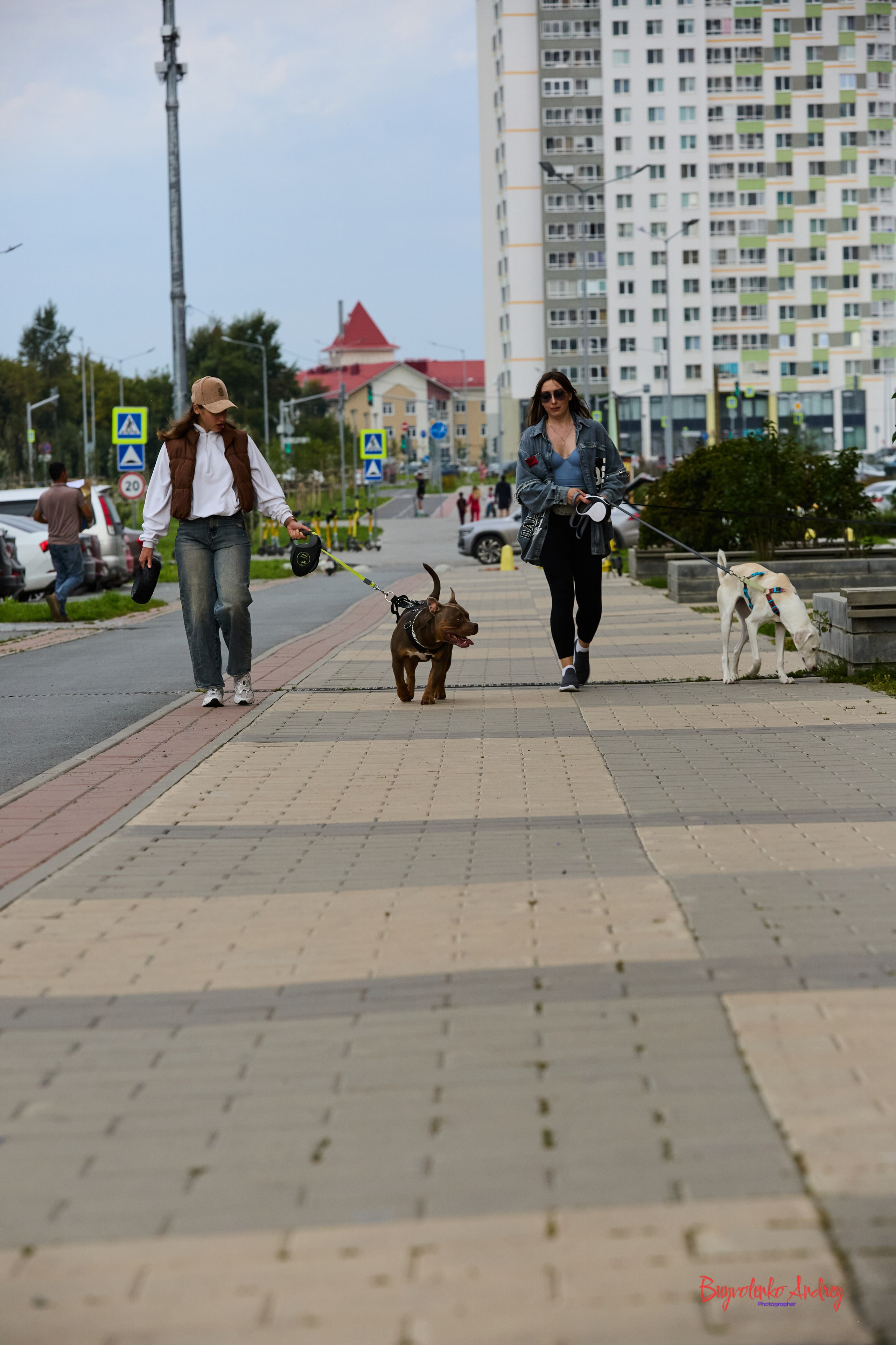 Проект фотопрогулка с хвостиком. Buyvolenko Andrey