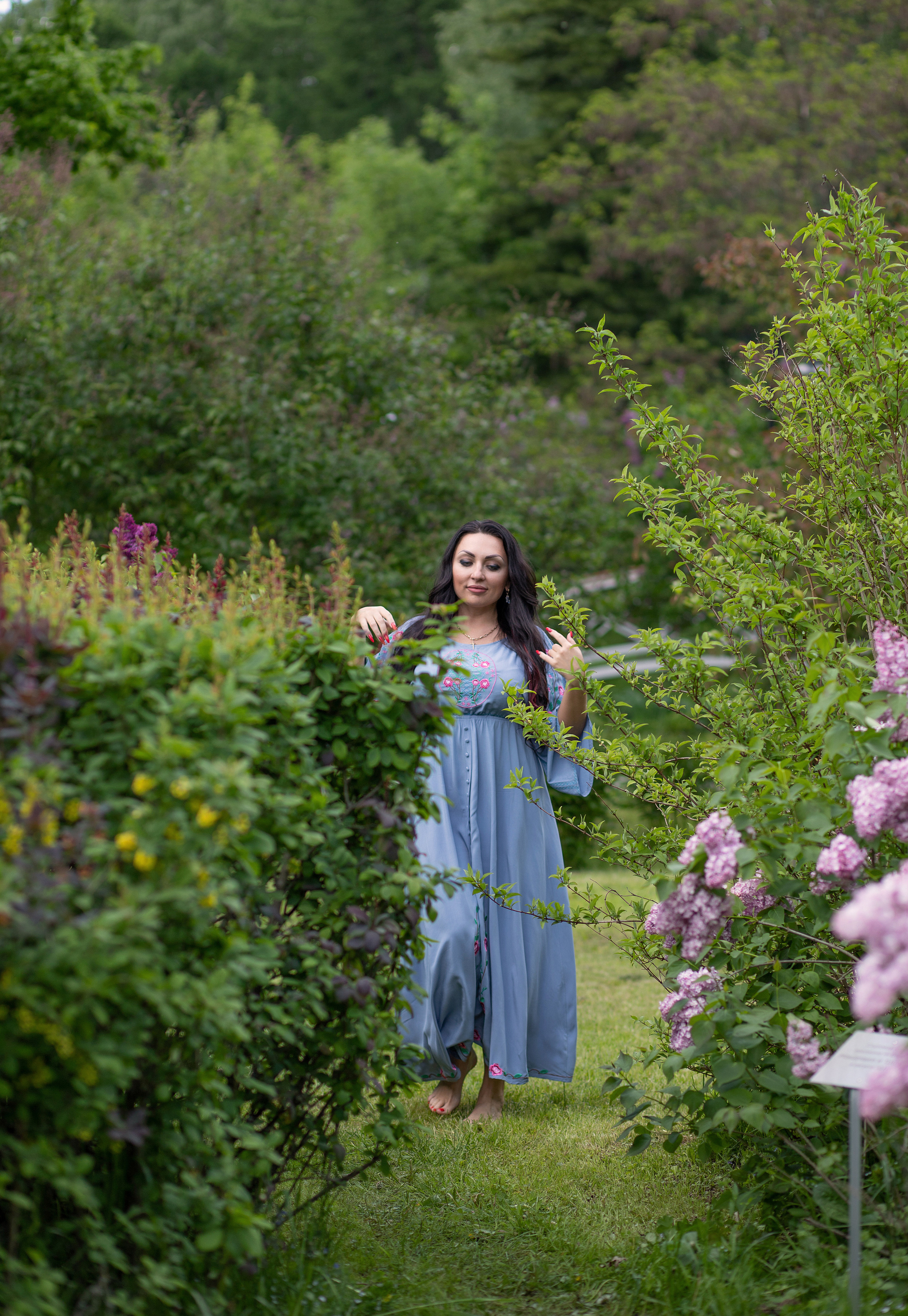 Сокольники