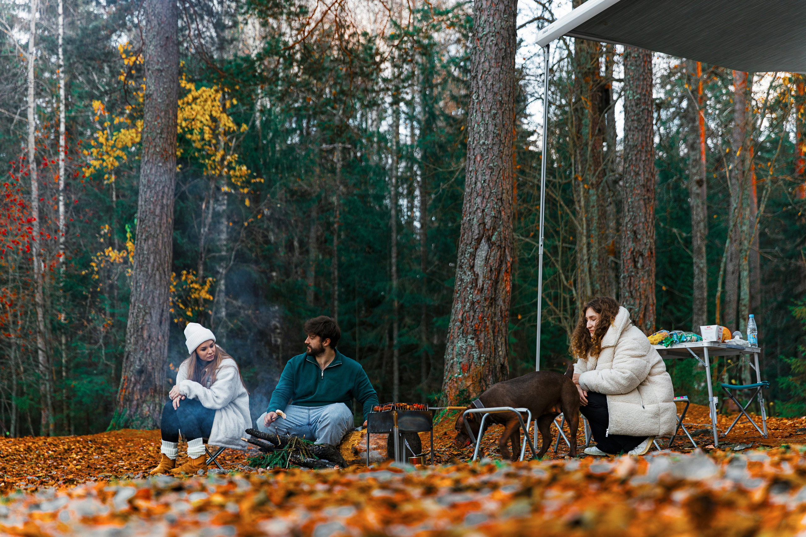 Рекламная фотосъемка автодомов в Санкт-Петербурге | Фотограф для бизнеса