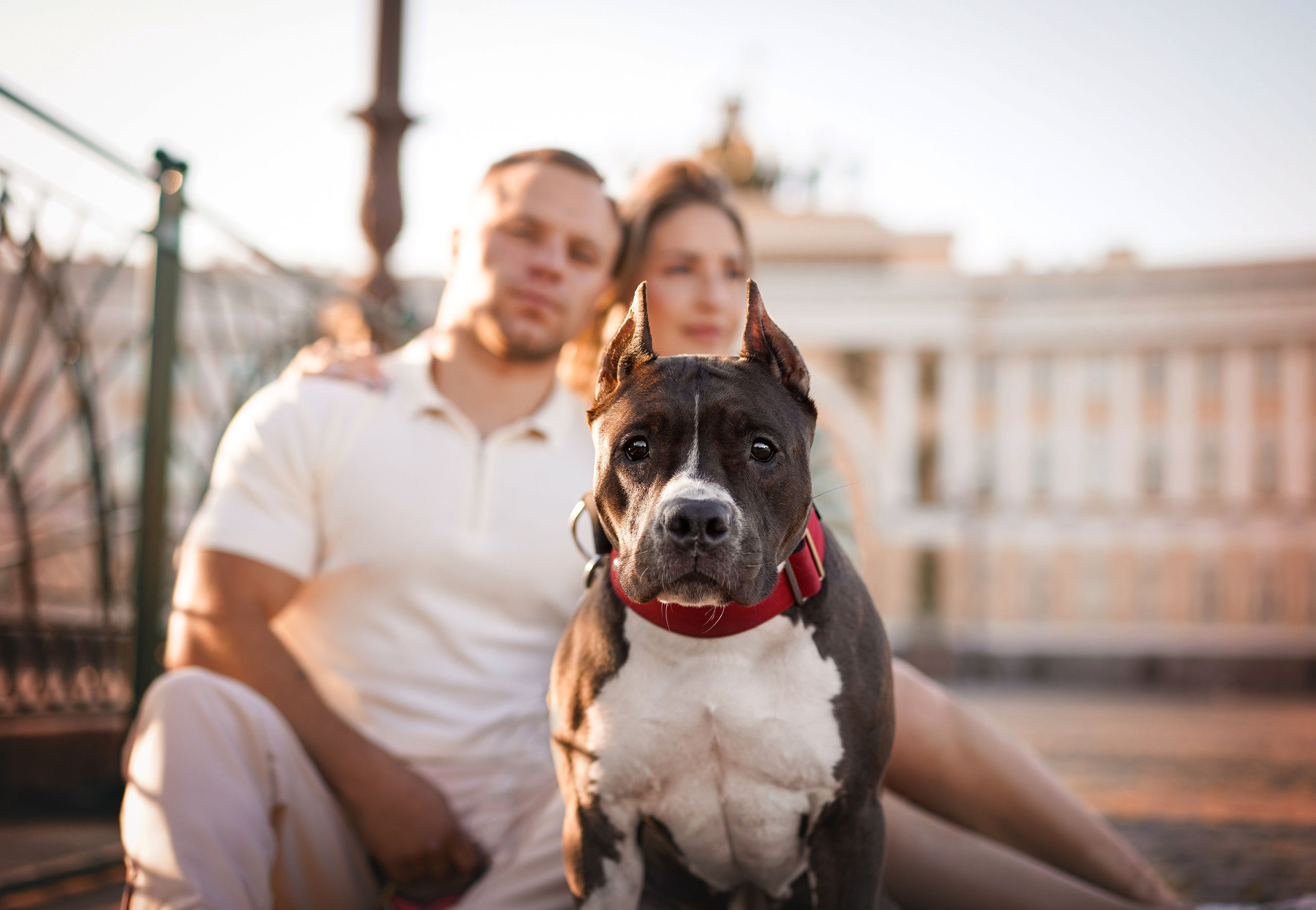 Аня Терентий и Кайли. Фотограф-анималист в Санкт-Петербурге Яна Мартынова